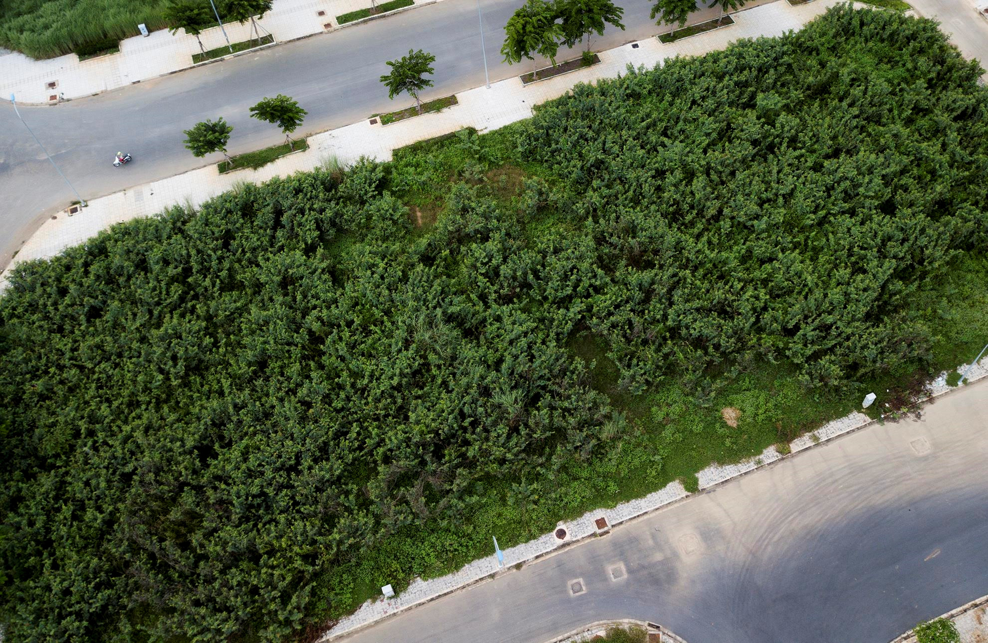 Khu do thi Dong Sai Gon hon 10 nam hoang vang hinh anh 14