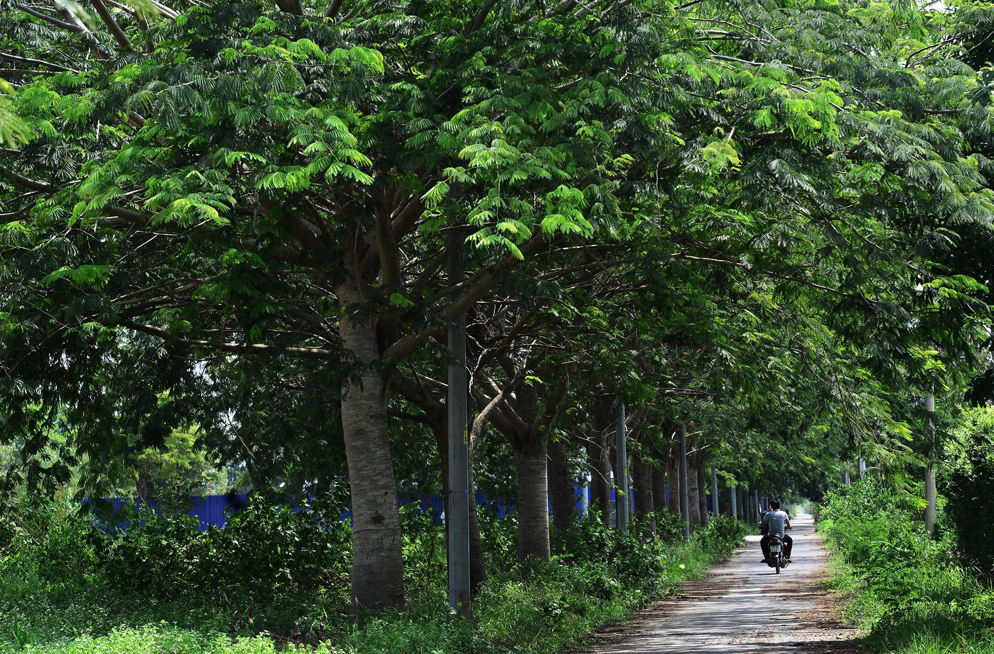 Khu do thi Dong Sai Gon hon 10 nam hoang vang hinh anh 15