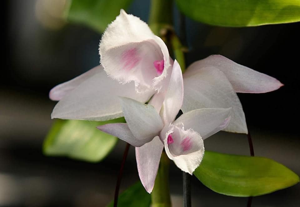 bi lua khi dau tu lan dot bien anh 3