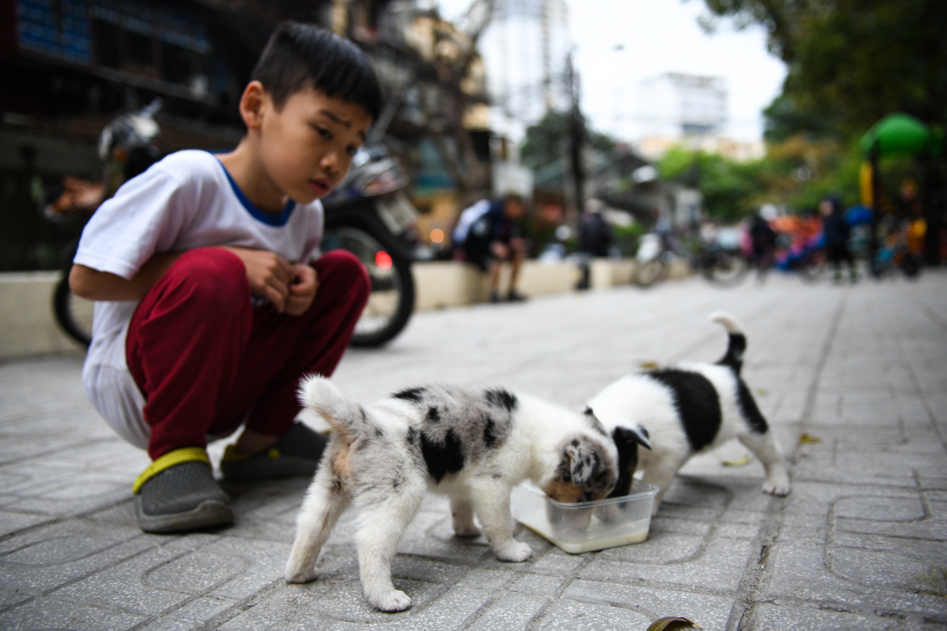 Kinh doanh trong khu tap the, cuoc song trong cac khu tap the anh 24