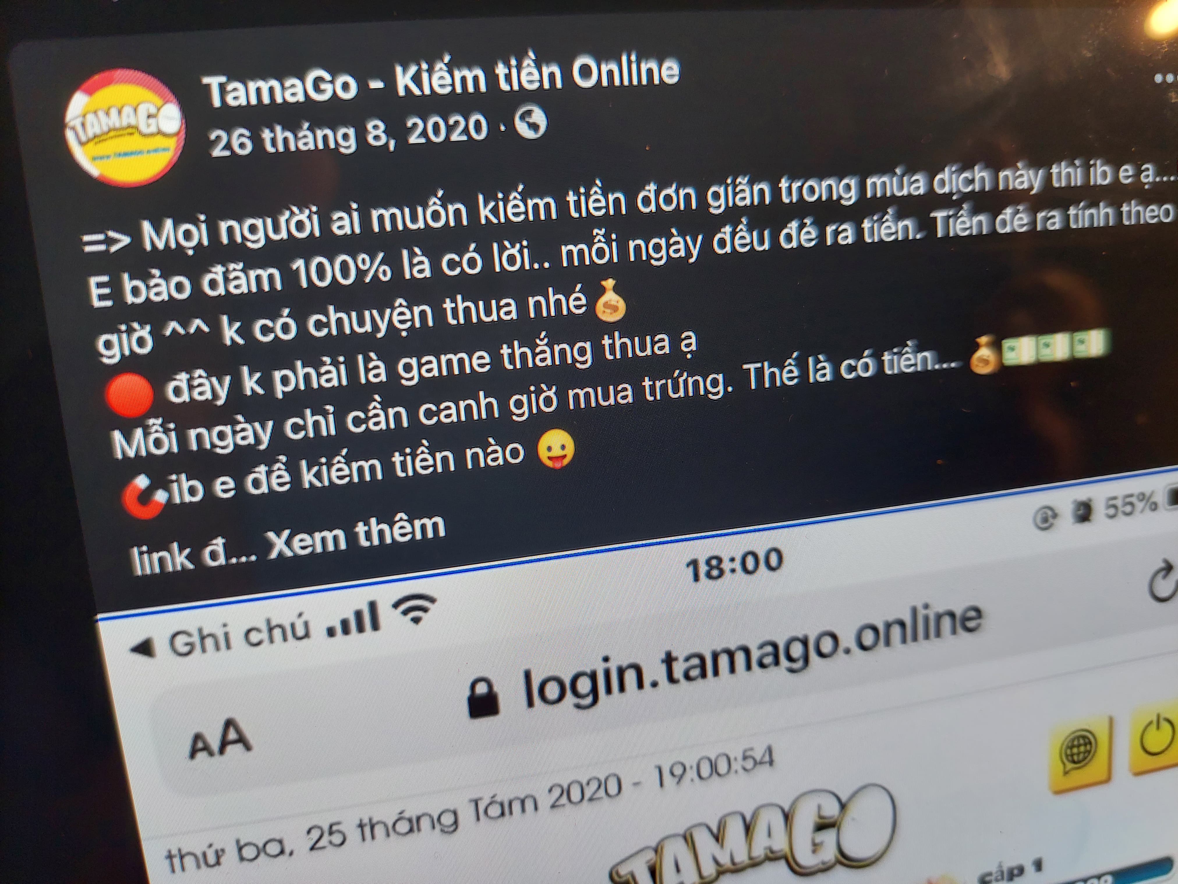 Lao vào đa cấp 'ấp trứng', 'nuôi bò online', nhiều người mang nợ