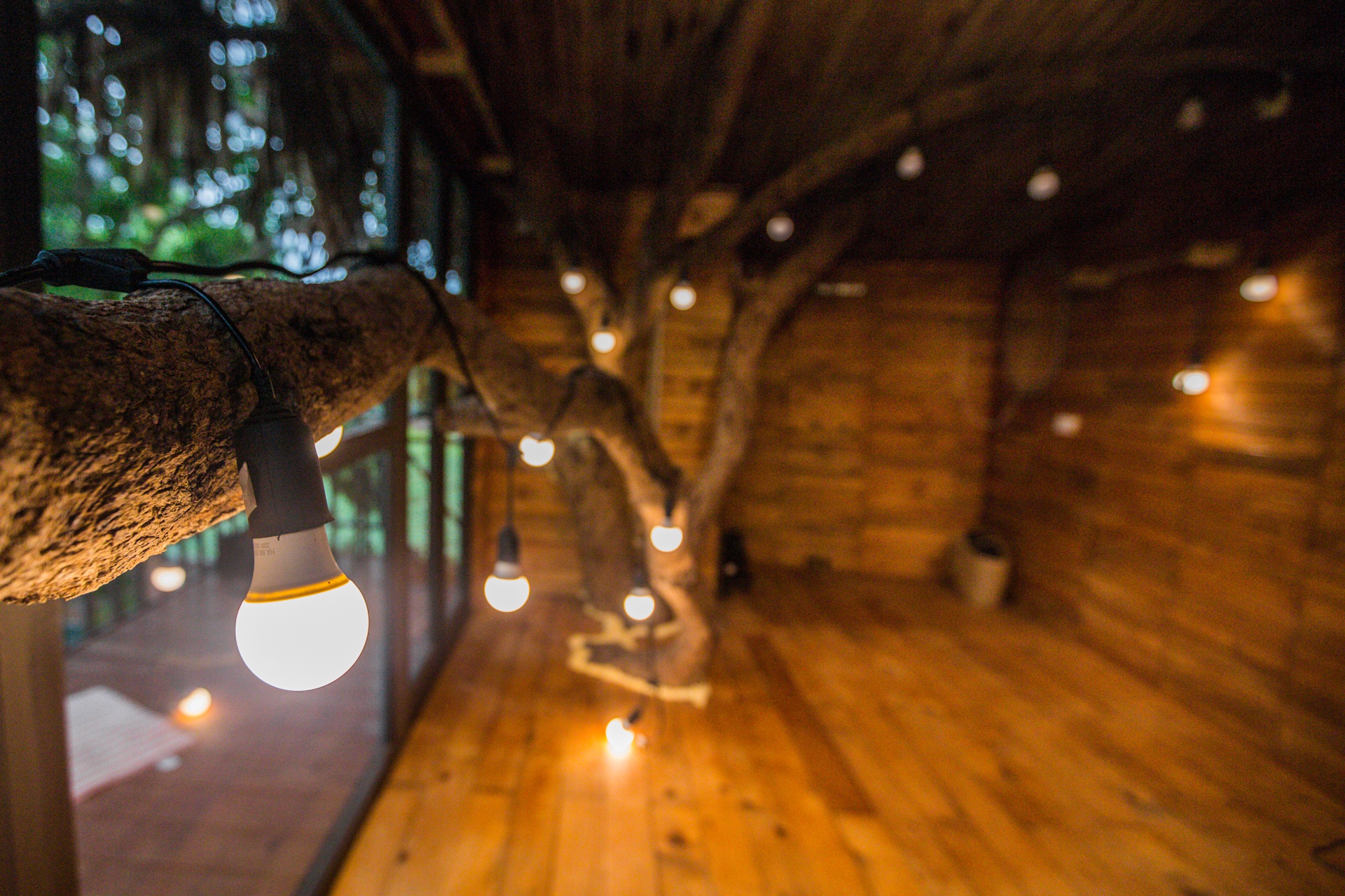 Doc dao ngoi nha tram trieu tren cay o Ha Noi anh 5