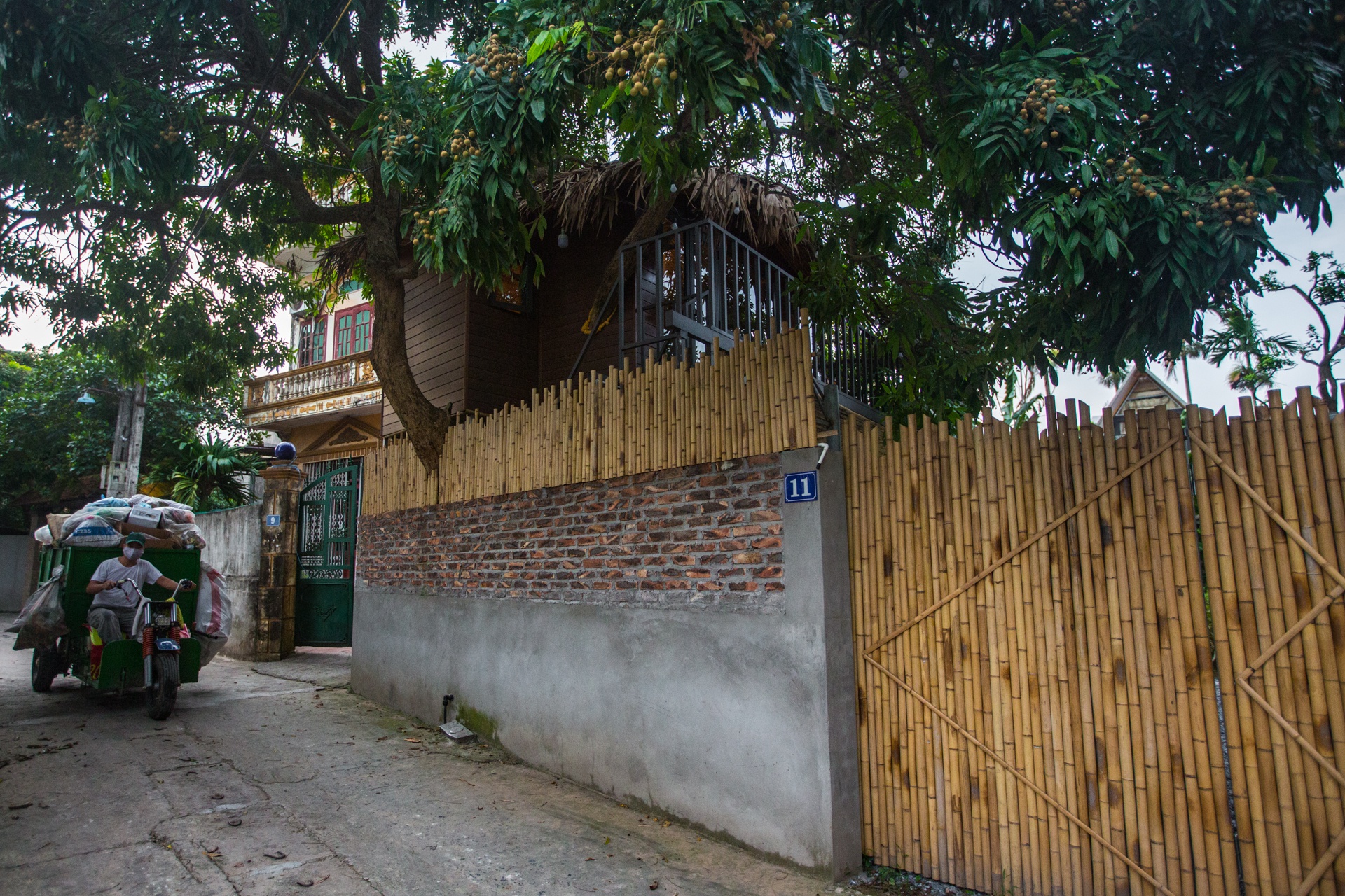 Doc dao ngoi nha tram trieu tren cay o Ha Noi anh 12