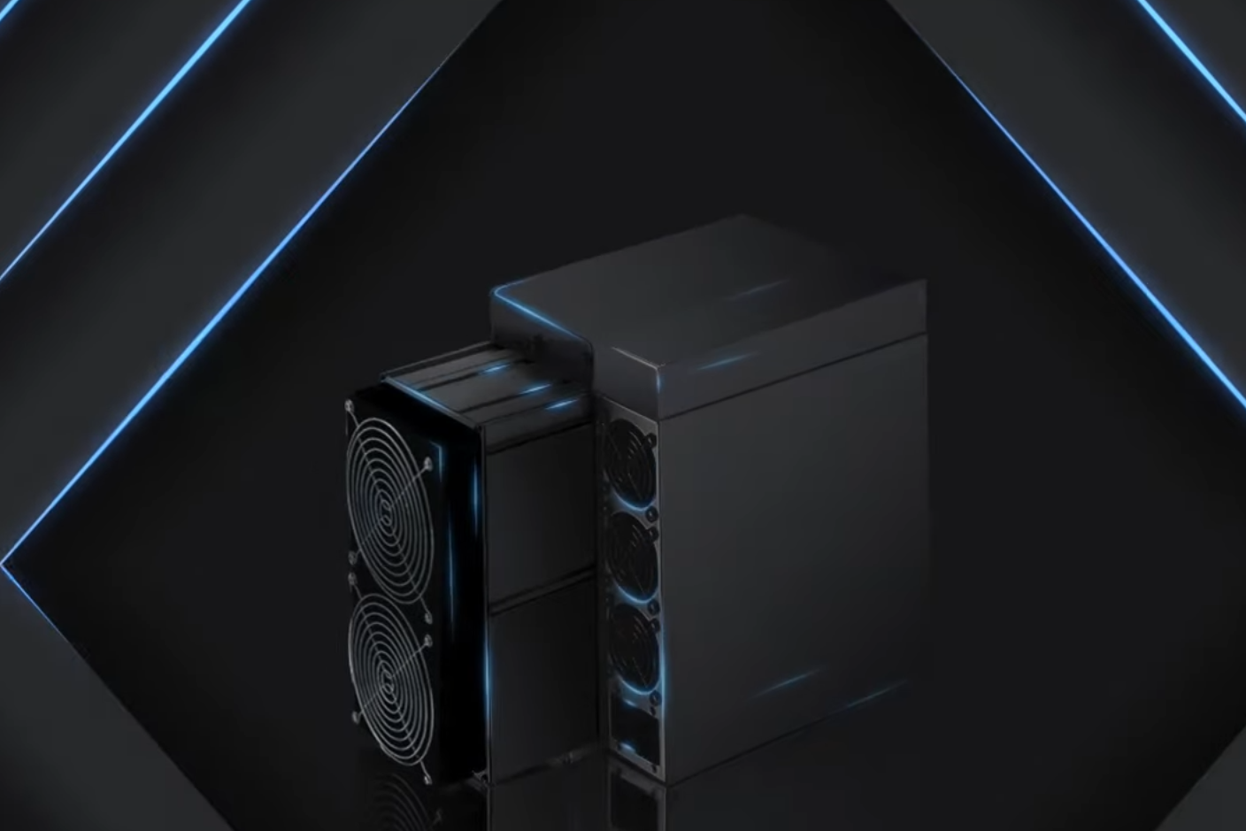 trau cay coin manh nhat anh 1