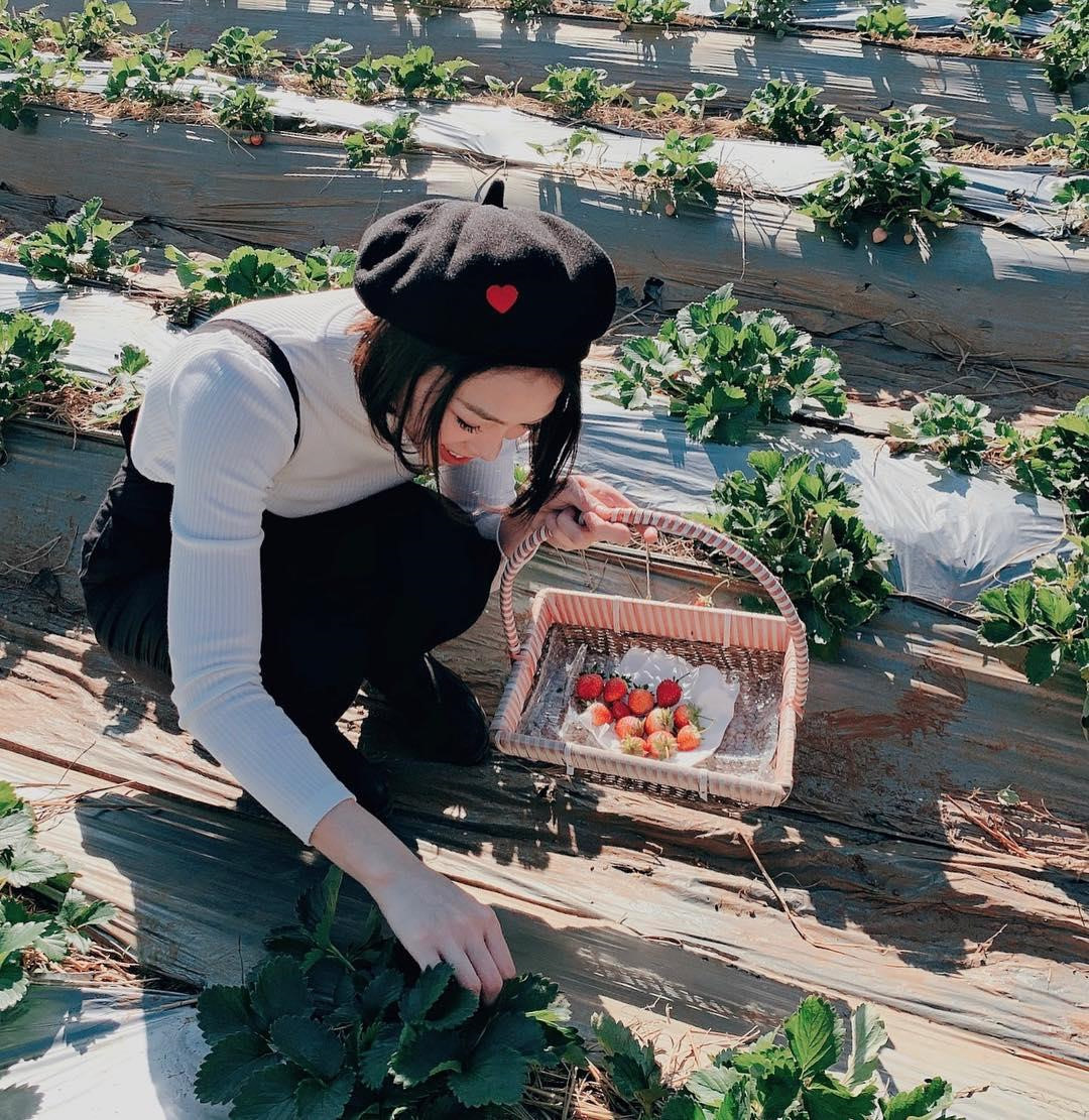 Goi y cach check-in hoa nang tho cho phai nu o vuon dau Moc Chau hinh anh 13