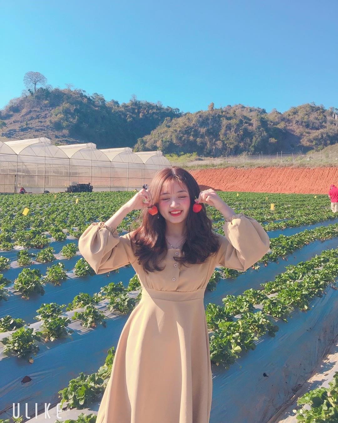 Goi y cach check-in hoa nang tho cho phai nu o vuon dau Moc Chau hinh anh 10