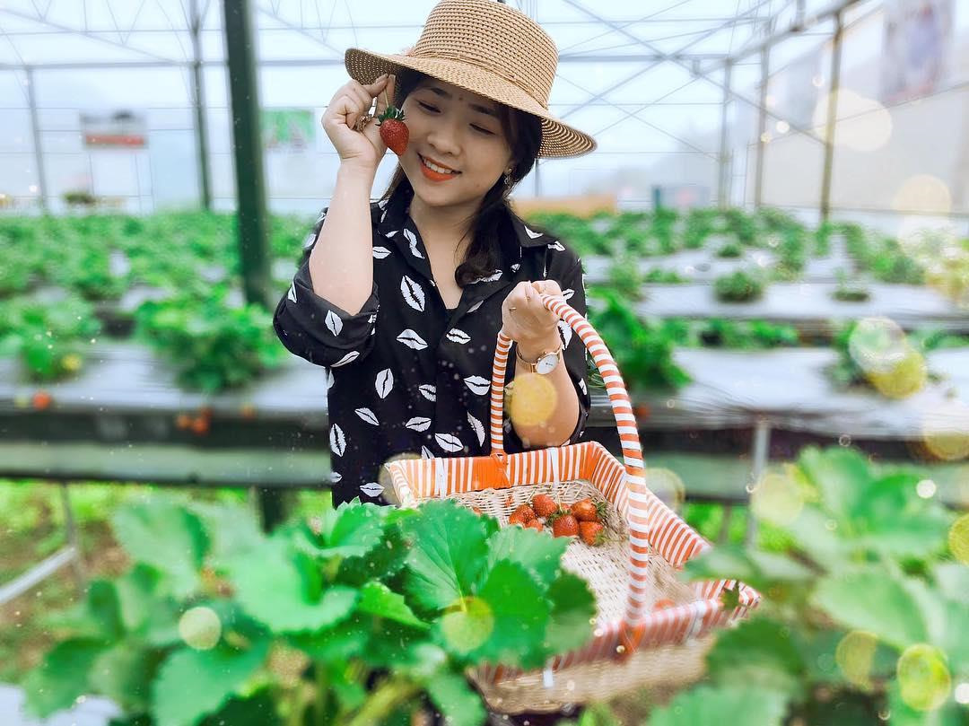 Goi y cach check-in hoa nang tho cho phai nu o vuon dau Moc Chau hinh anh 6