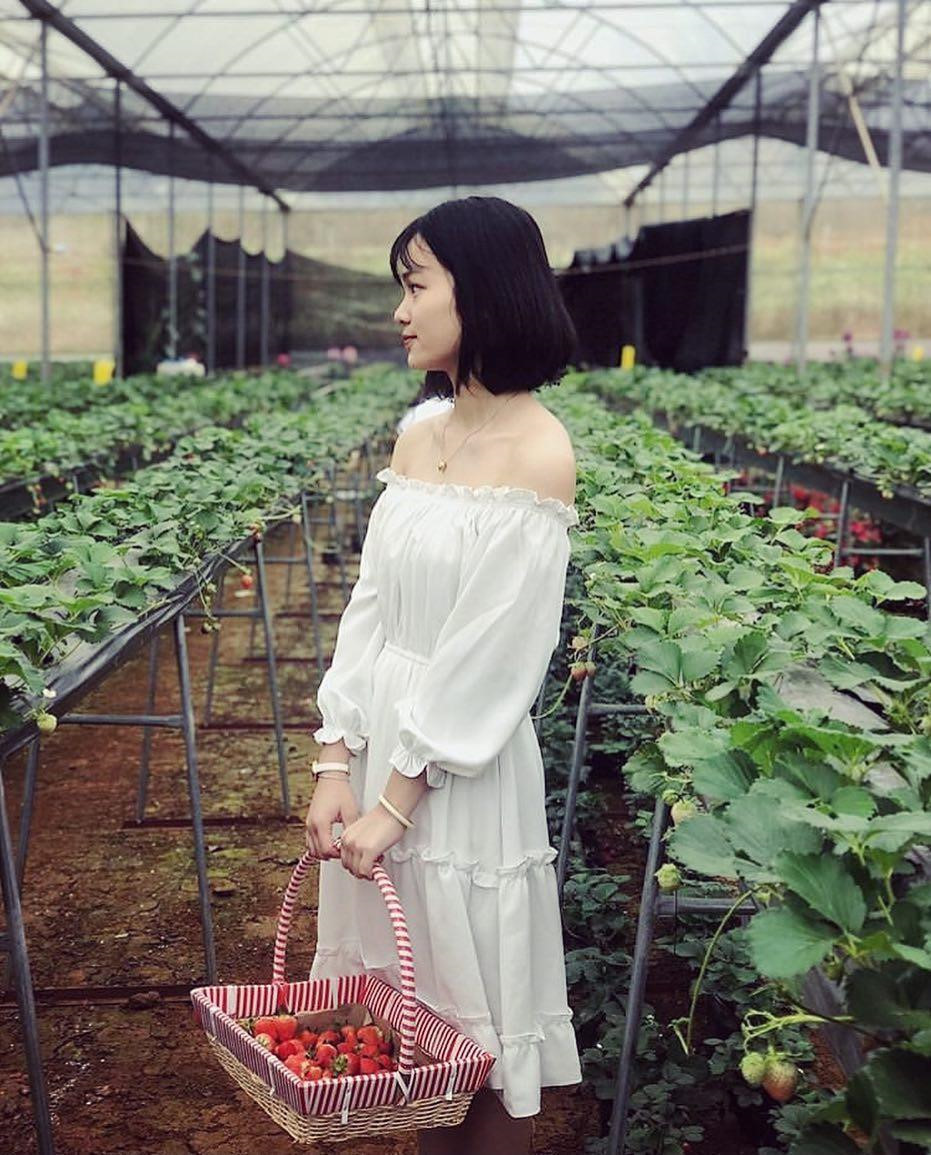 Goi y cach check-in hoa nang tho cho phai nu o vuon dau Moc Chau hinh anh 9