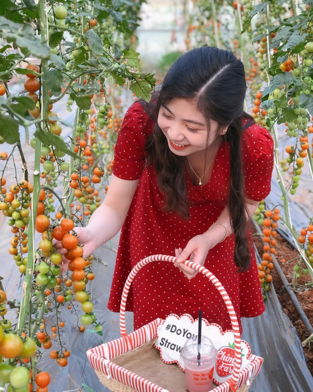 Goi y cach check-in hoa nang tho cho phai nu o vuon dau Moc Chau hinh anh 21