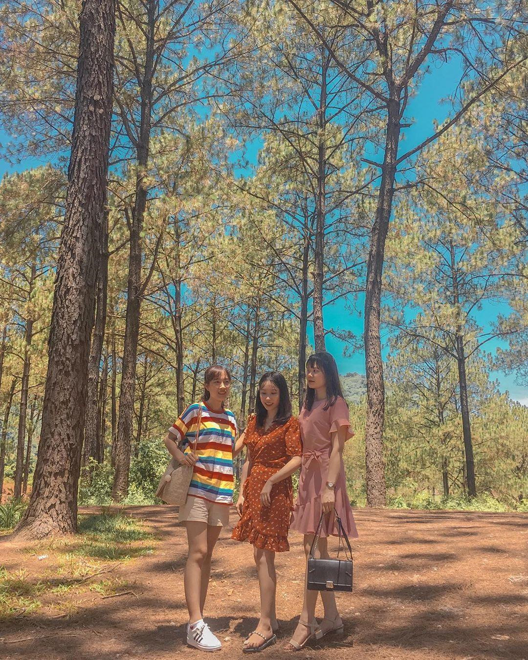 Goi y cach check-in hoa nang tho cho phai nu o vuon dau Moc Chau hinh anh 22