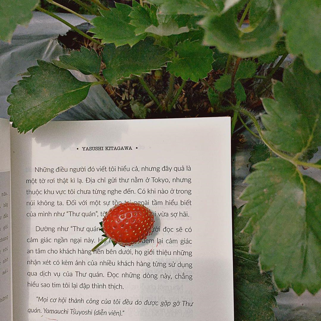 Goi y cach check-in hoa nang tho cho phai nu o vuon dau Moc Chau hinh anh 19