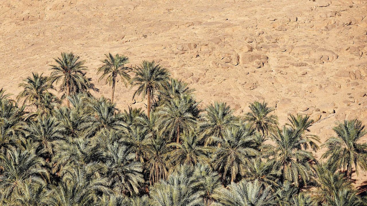 cam dung dien thoai anh 9