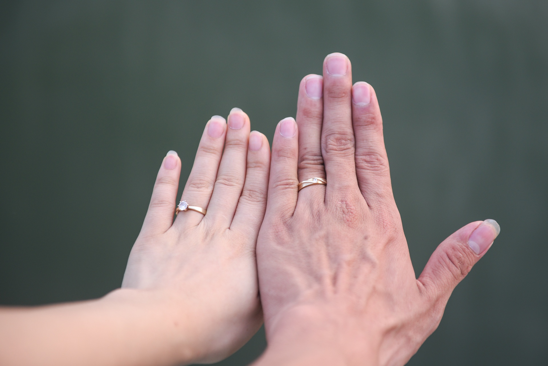 Manh ghep hoan hao cua vo chong chu linh chi, moi nguoi chi co 1 chan hinh anh 21 DSC_3566_zing.jpg