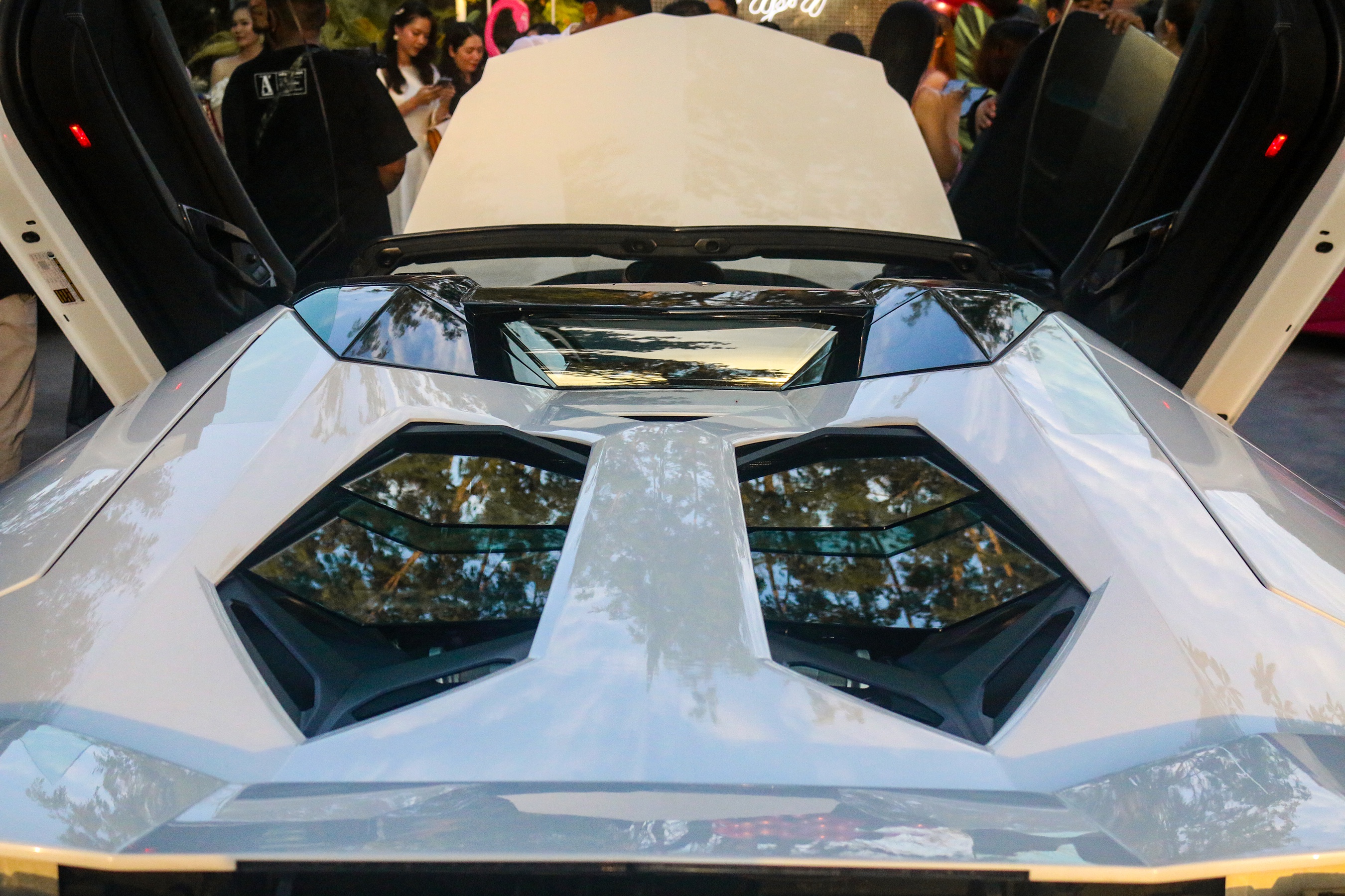 Lamborghini Aventador Roadster nang cap ong xa anh 9