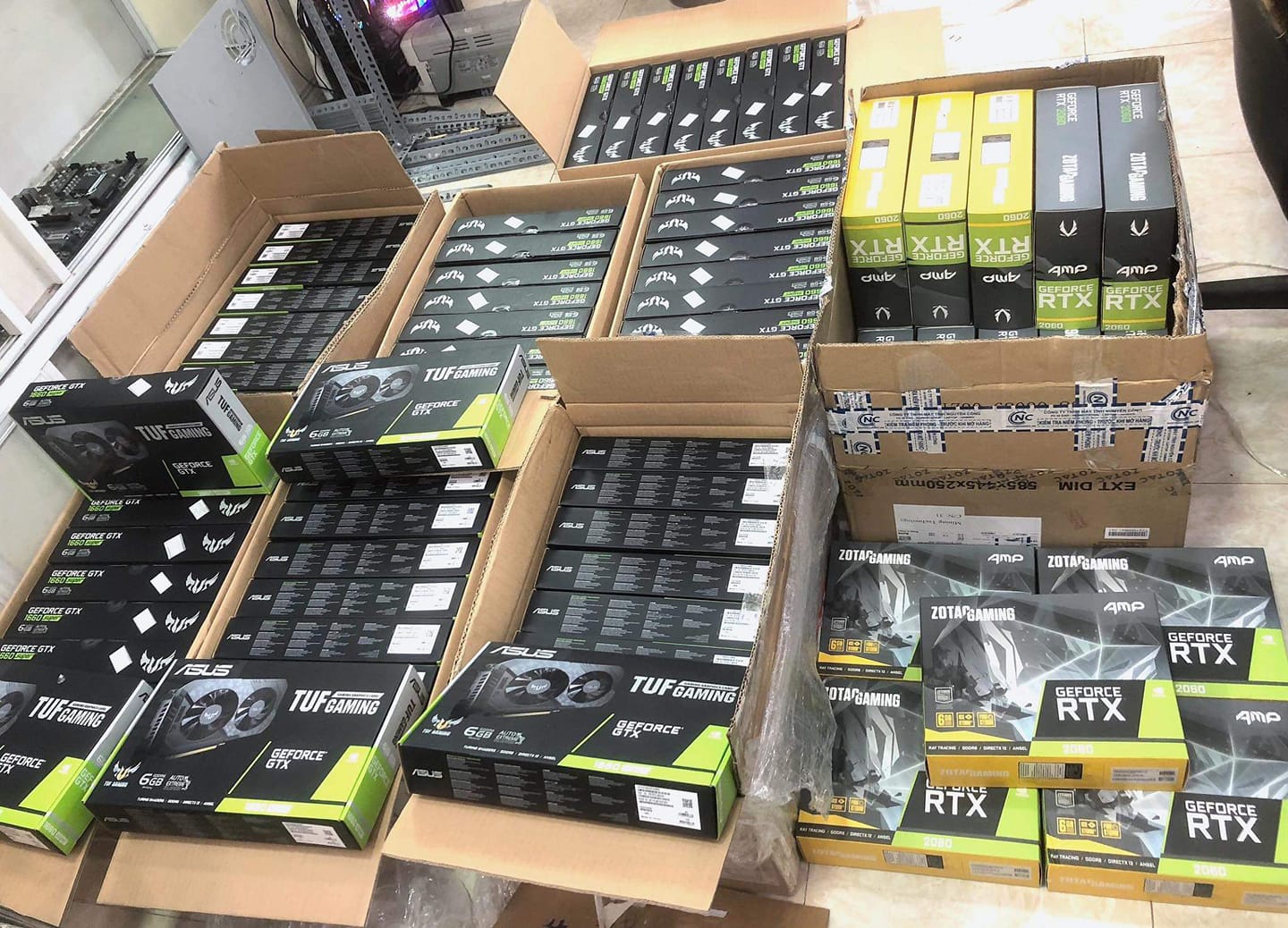 trau cay coin manh nhat anh 2