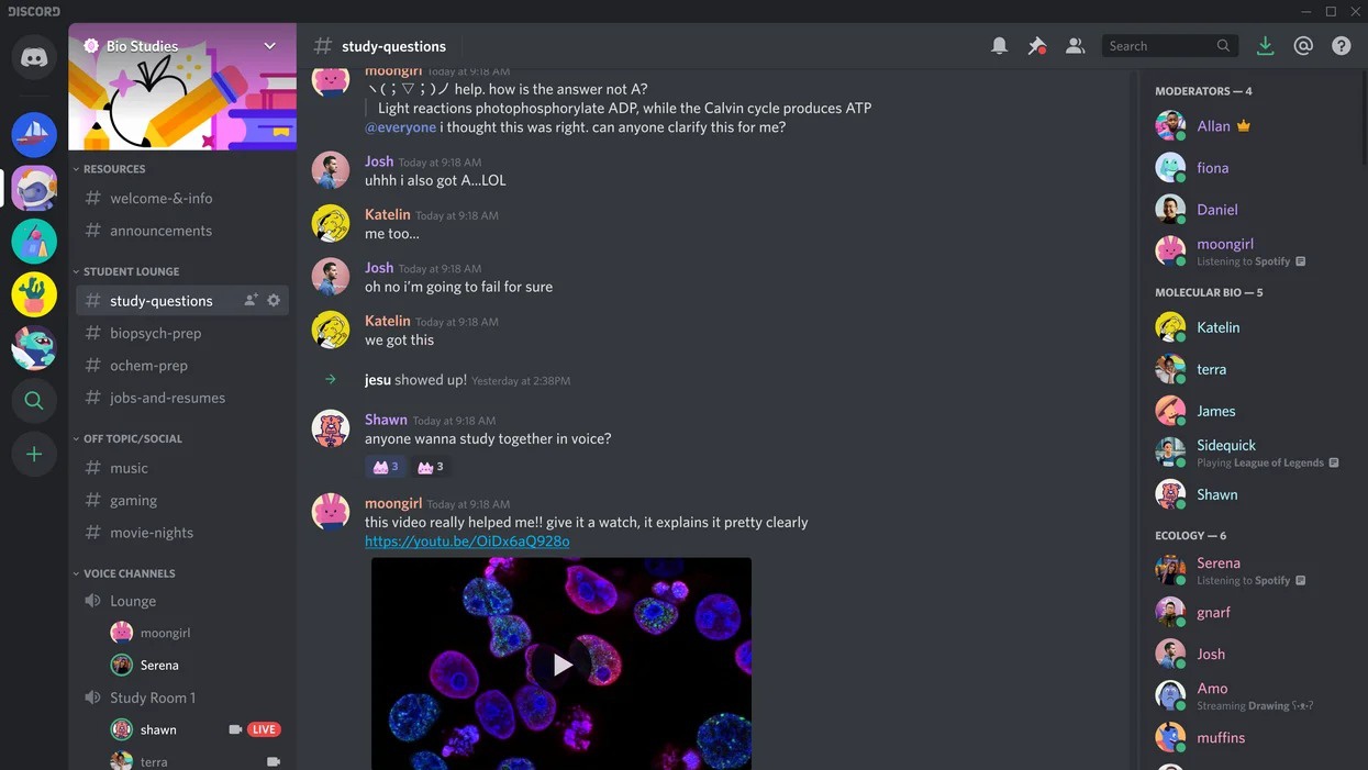 Microsoft mua lai discord anh 1
