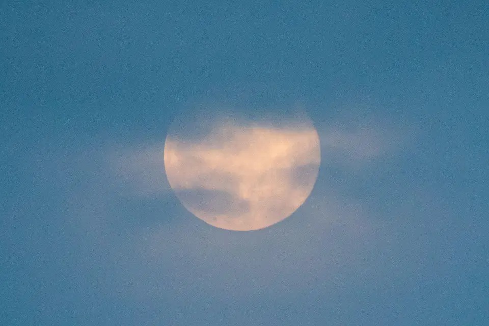 hien tuong sieu trang giun anh 8