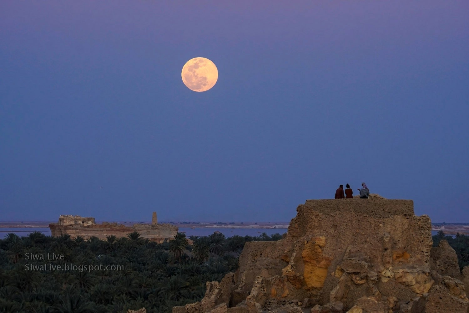 Sieu trang giun gop cong lon trong giai cuu tau ket Suez anh 1