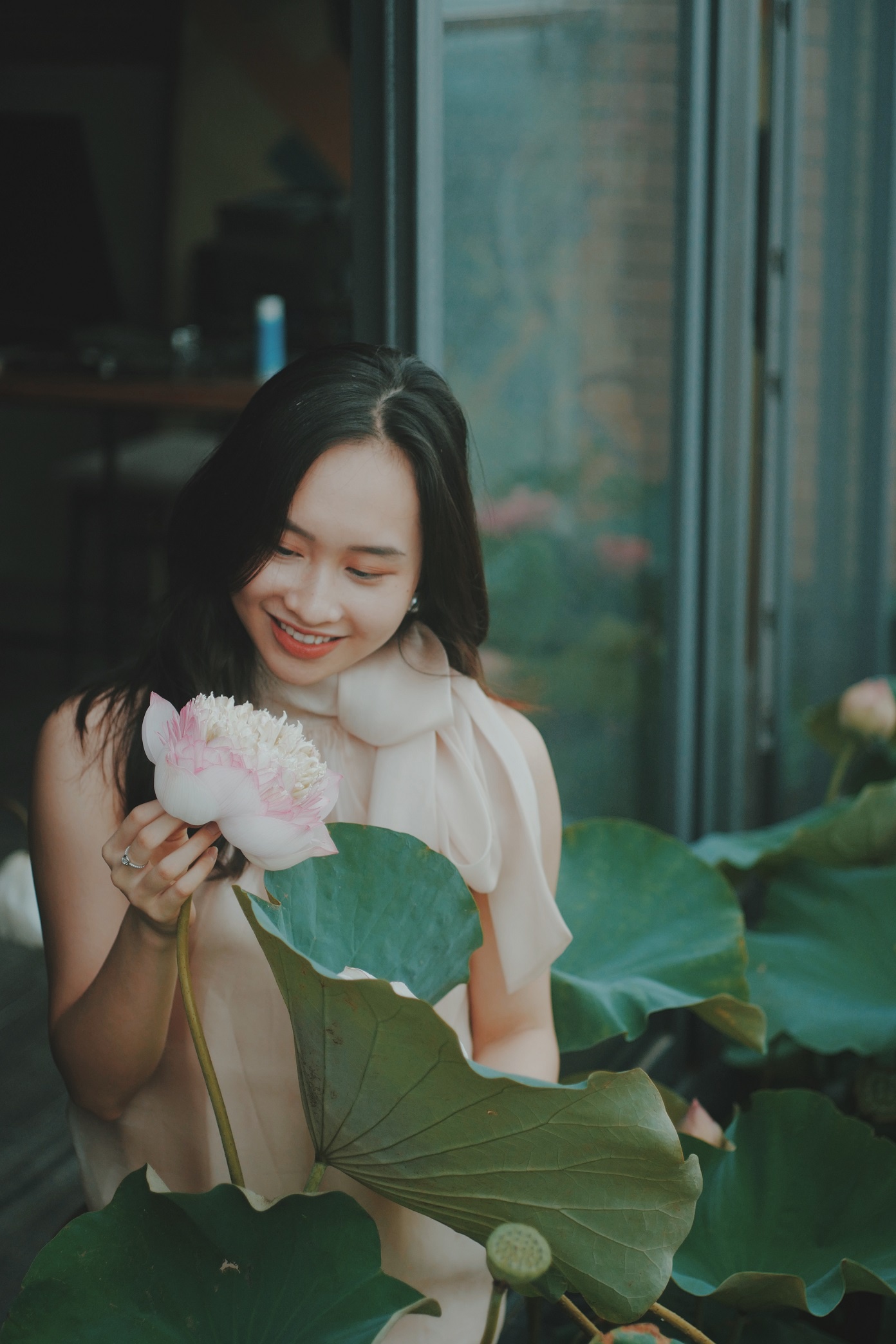 Ho sen trong can penthouse cua a khoi DH Kinh te Quoc dan anh 1