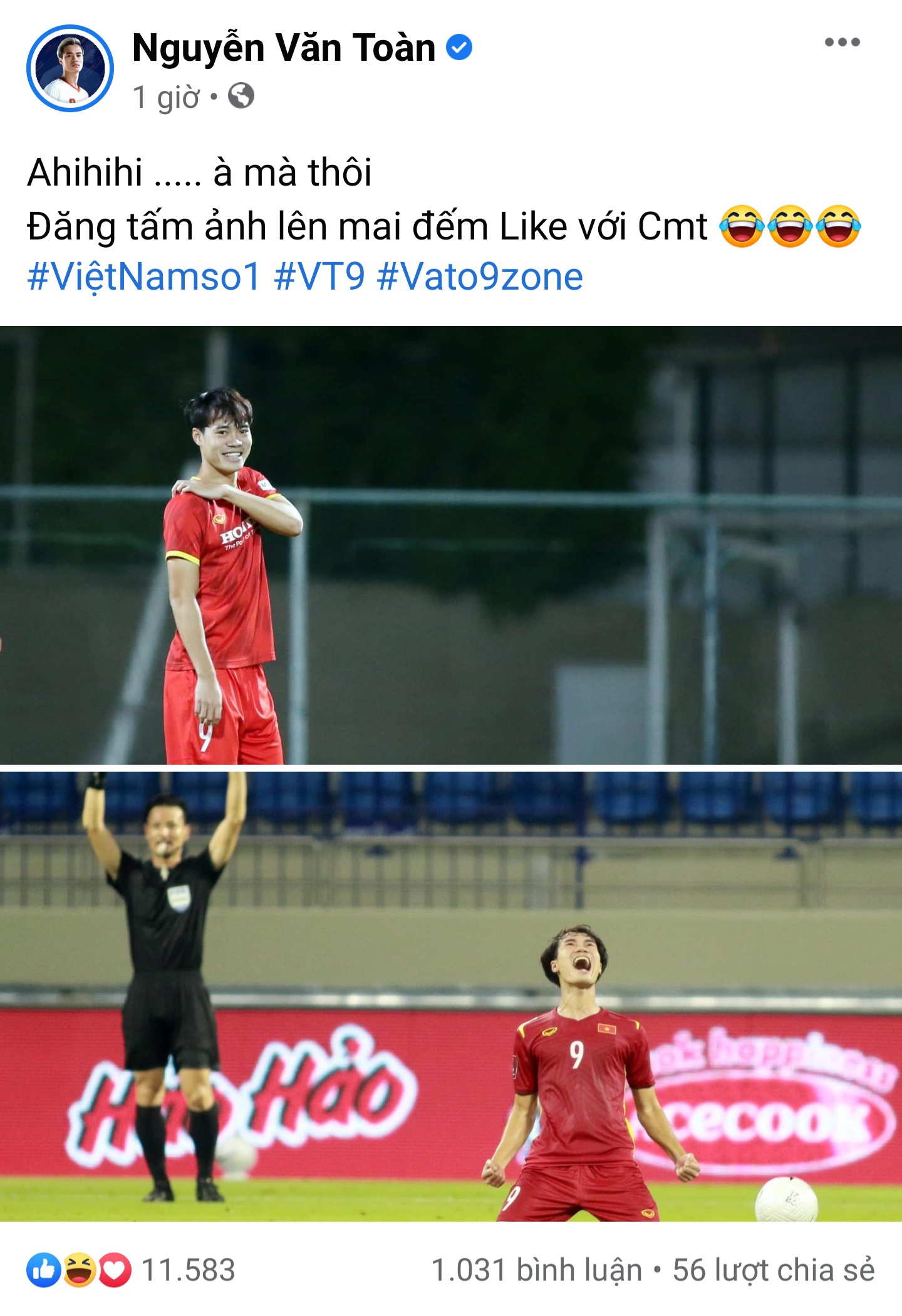 Van Toan nga vo anh 1