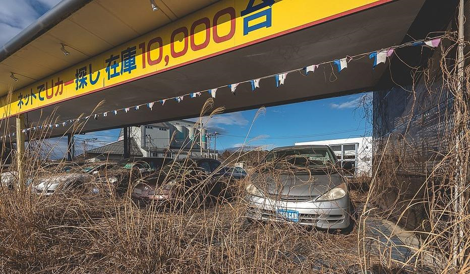 Canh tuong gay am anh 8 nam sau tham hoa hat nhan o Nhat hinh anh 10