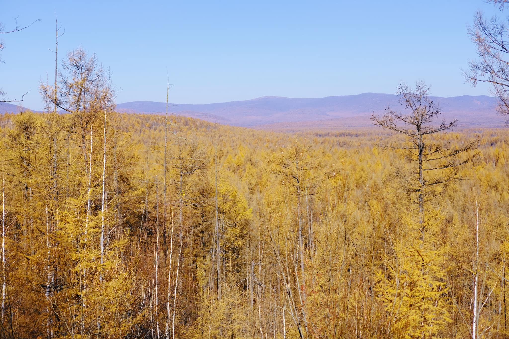 Tim mien dat troi trung ngo, ngam thu vang ngut mat binh nguyen hinh anh 2