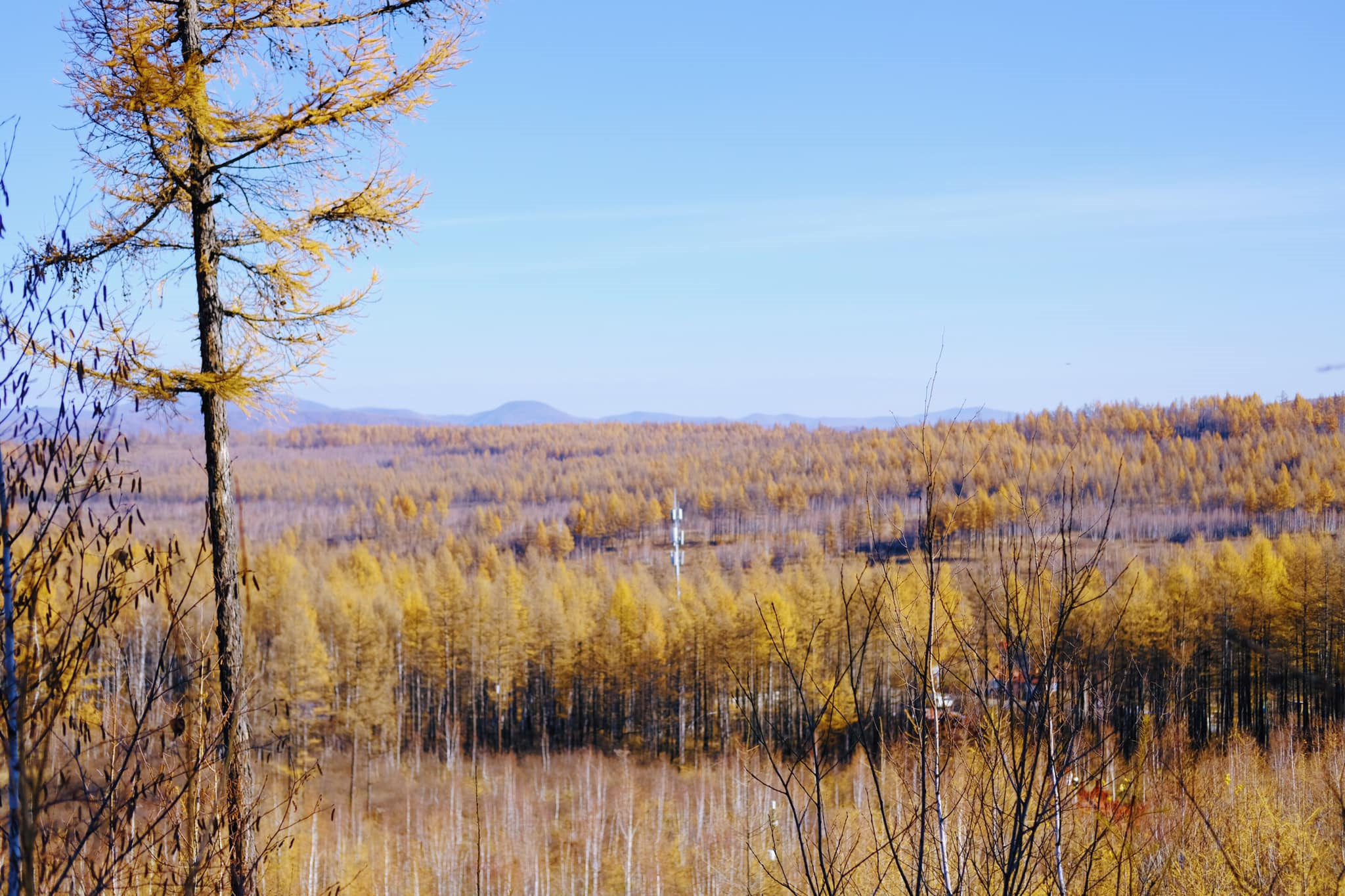 Tim mien dat troi trung ngo, ngam thu vang ngut mat binh nguyen hinh anh 9
