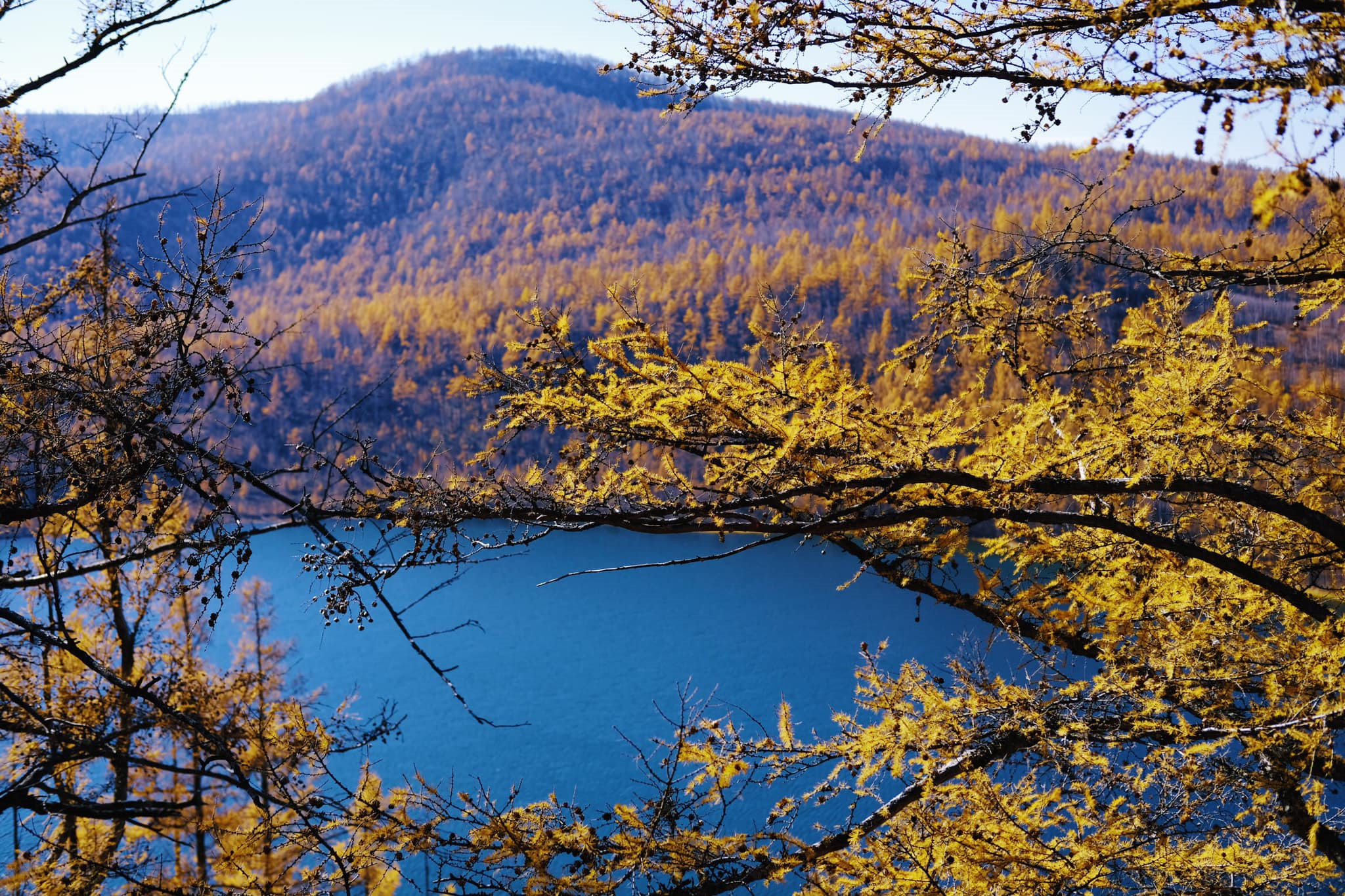 Tim mien dat troi trung ngo, ngam thu vang ngut mat binh nguyen hinh anh 5