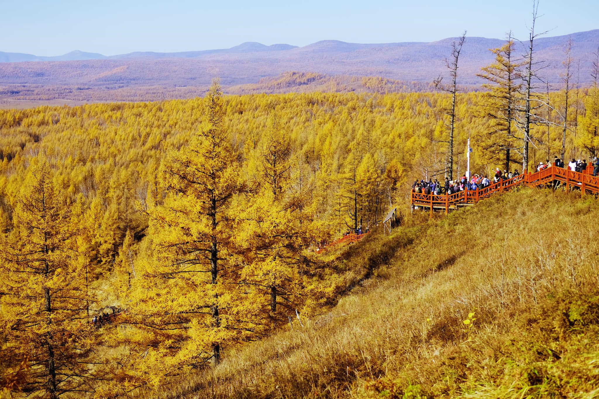 Tim mien dat troi trung ngo, ngam thu vang ngut mat binh nguyen hinh anh 10