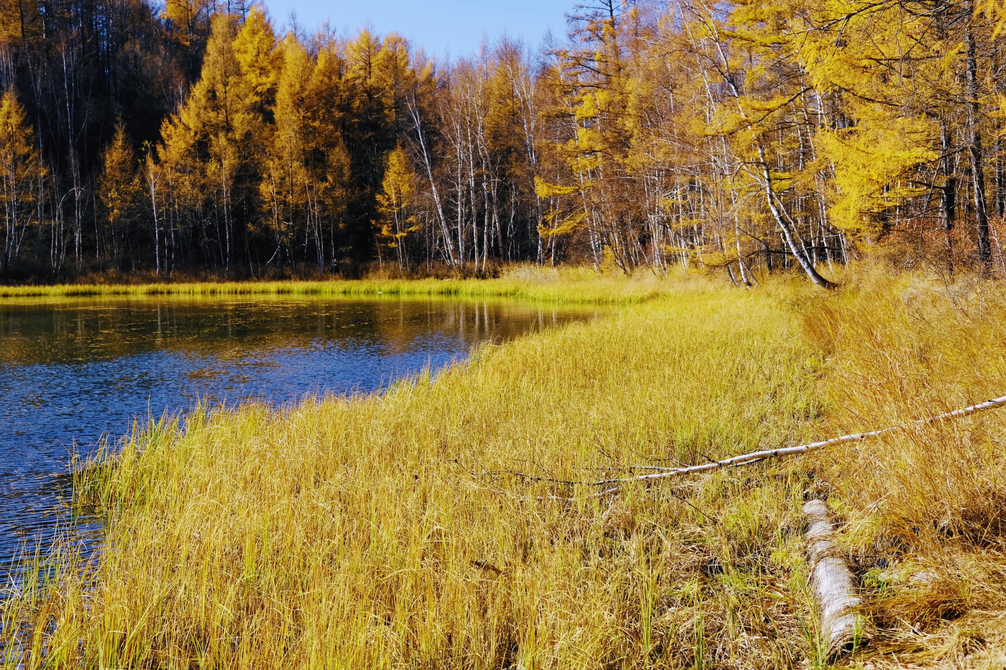Tim mien dat troi trung ngo, ngam thu vang ngut mat binh nguyen hinh anh 6