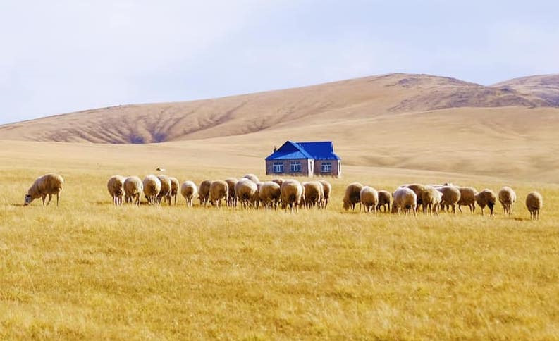 Tim mien dat troi trung ngo, ngam thu vang ngut mat binh nguyen hinh anh 20