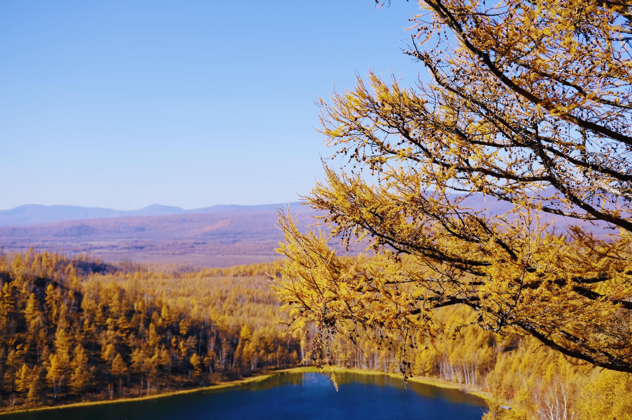 Tim mien dat troi trung ngo, ngam thu vang ngut mat binh nguyen hinh anh 13
