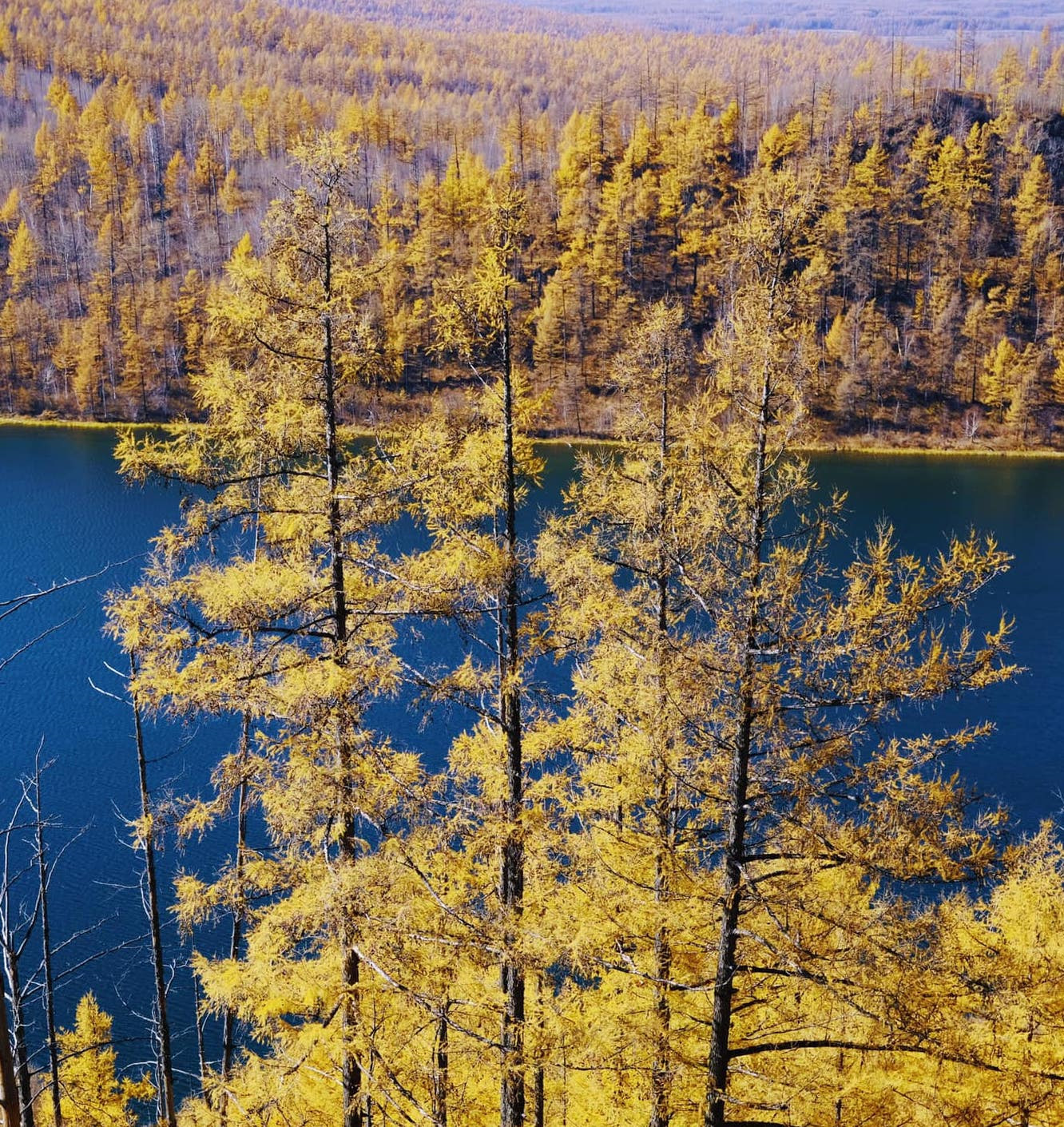 Tim mien dat troi trung ngo, ngam thu vang ngut mat binh nguyen hinh anh 4