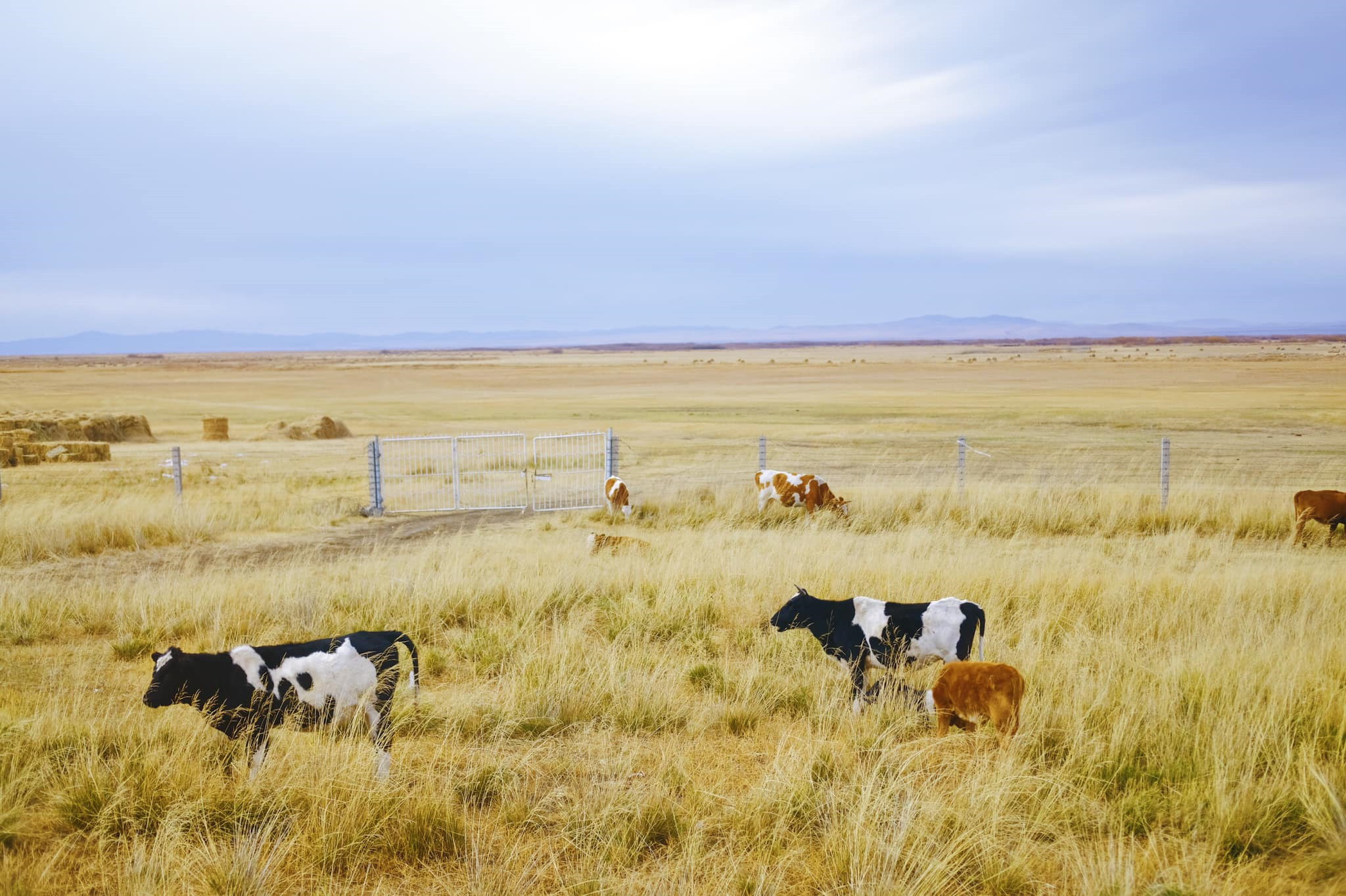 Tim mien dat troi trung ngo, ngam thu vang ngut mat binh nguyen hinh anh 21