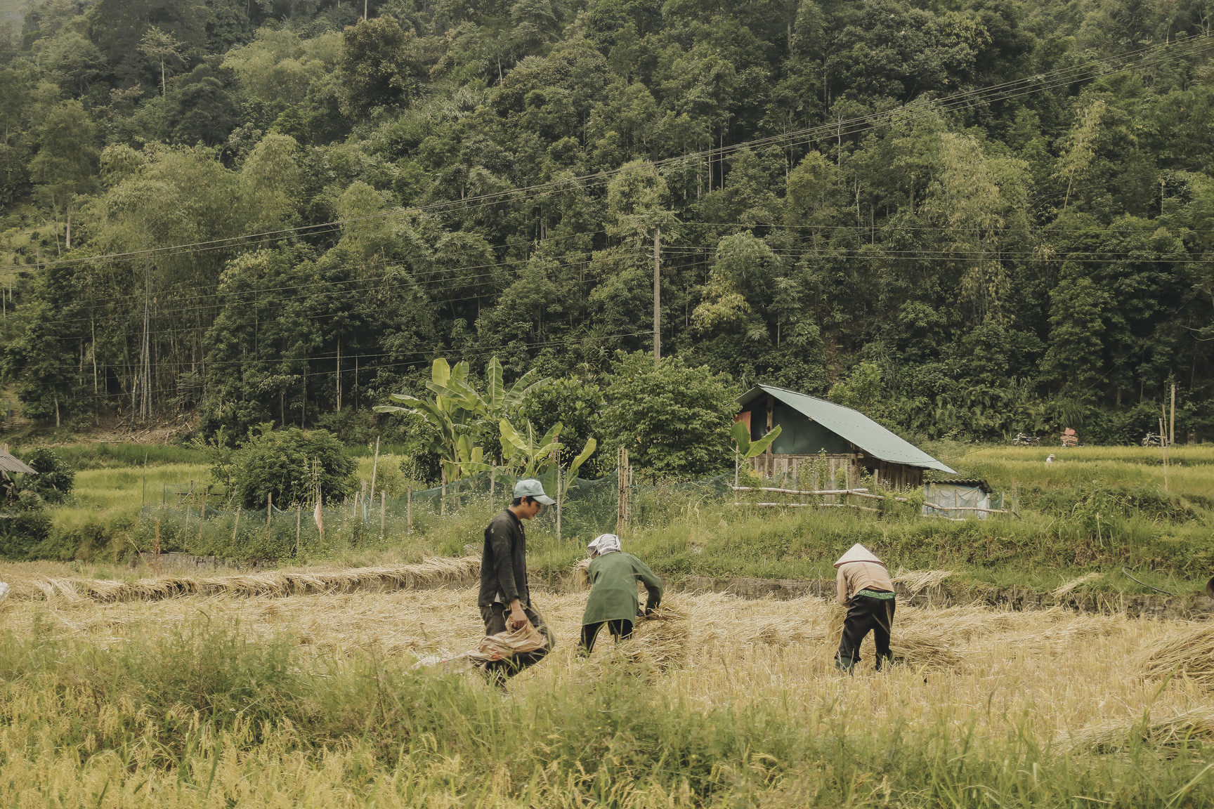 Di qua thuong nho mua vang Ha Giang hinh anh 16