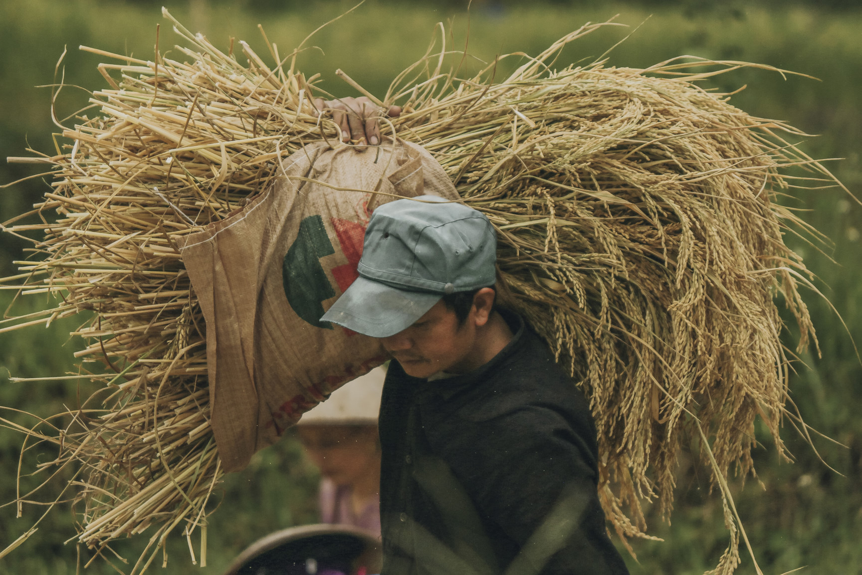 Di qua thuong nho mua vang Ha Giang hinh anh 17