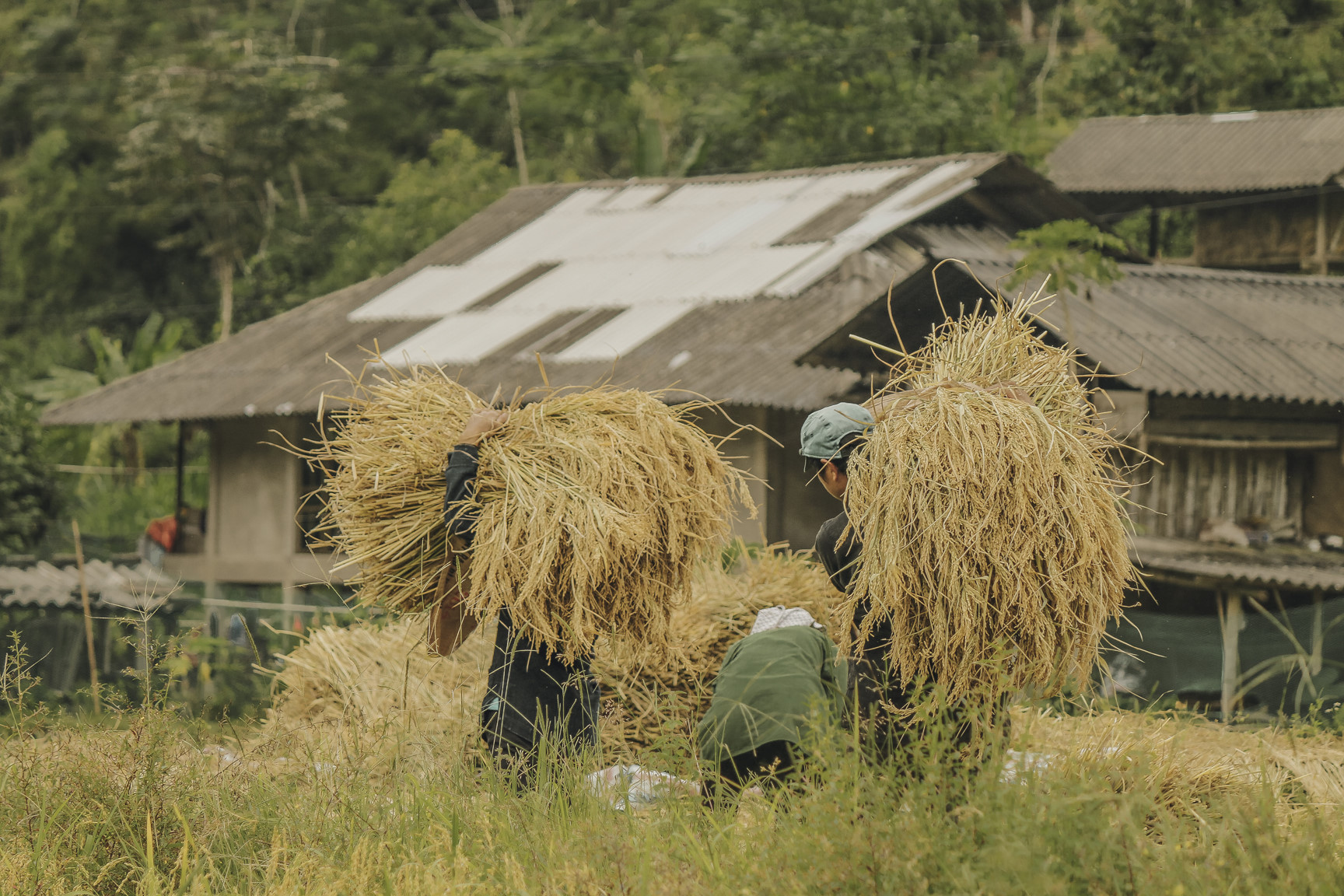 Di qua thuong nho mua vang Ha Giang hinh anh 20