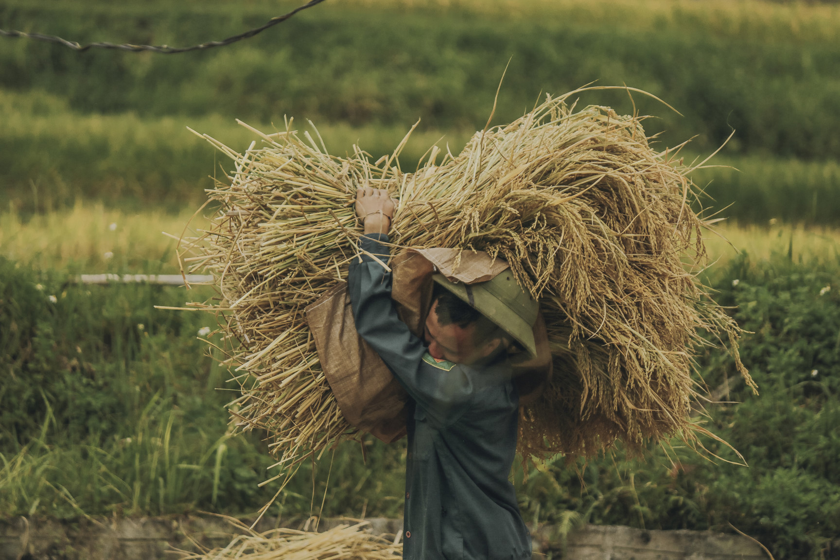 Di qua thuong nho mua vang Ha Giang hinh anh 18