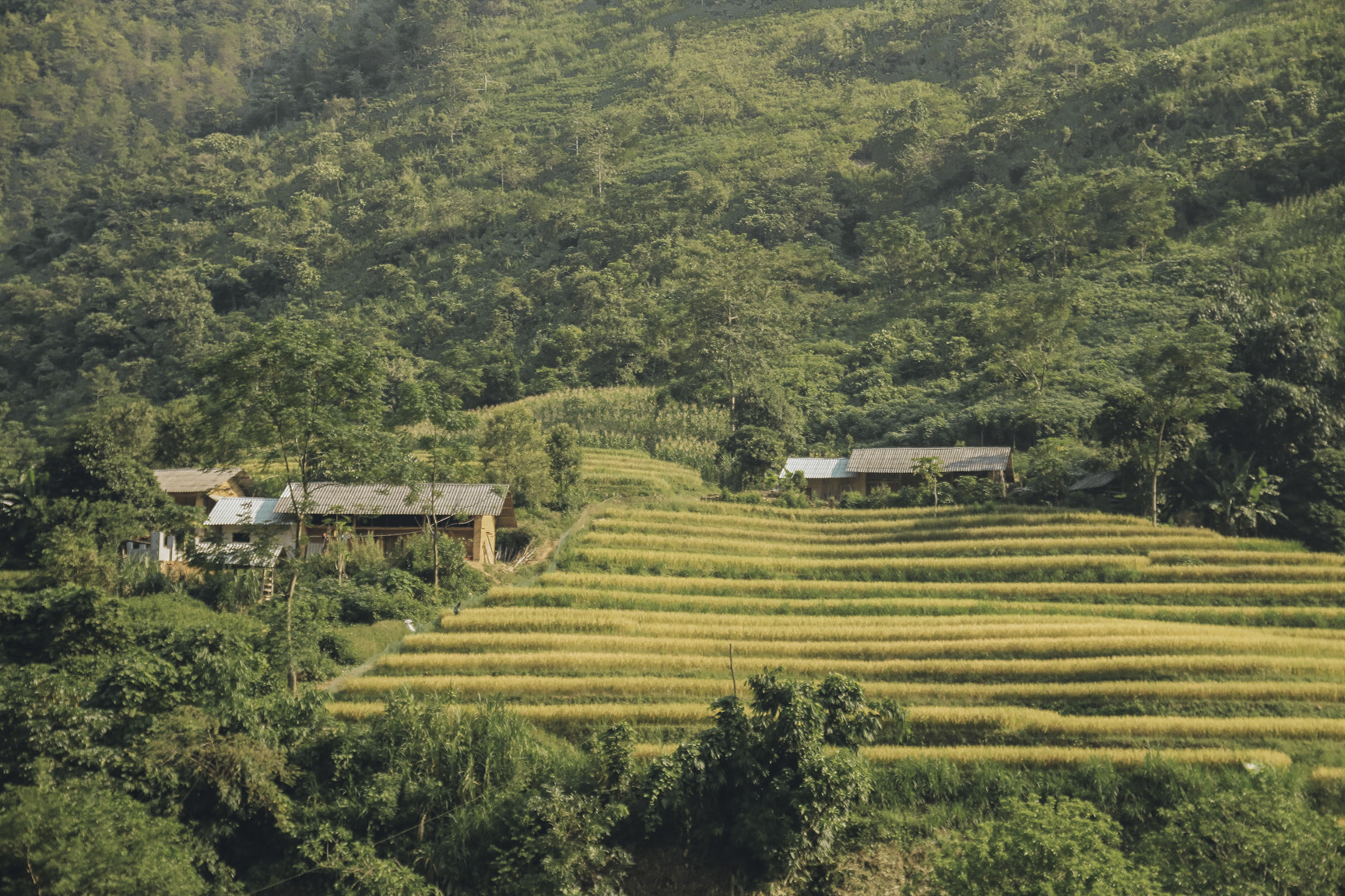 Di qua thuong nho mua vang Ha Giang hinh anh 11