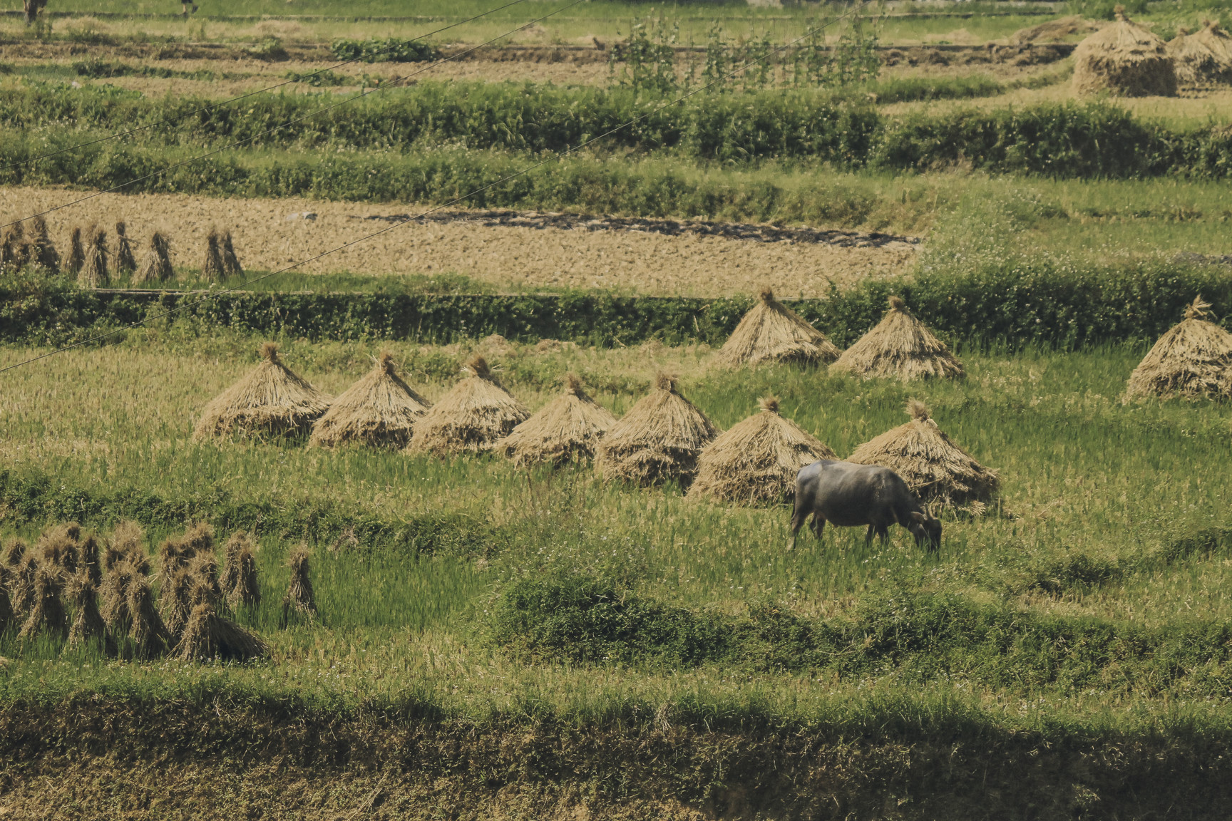 Di qua thuong nho mua vang Ha Giang hinh anh 24