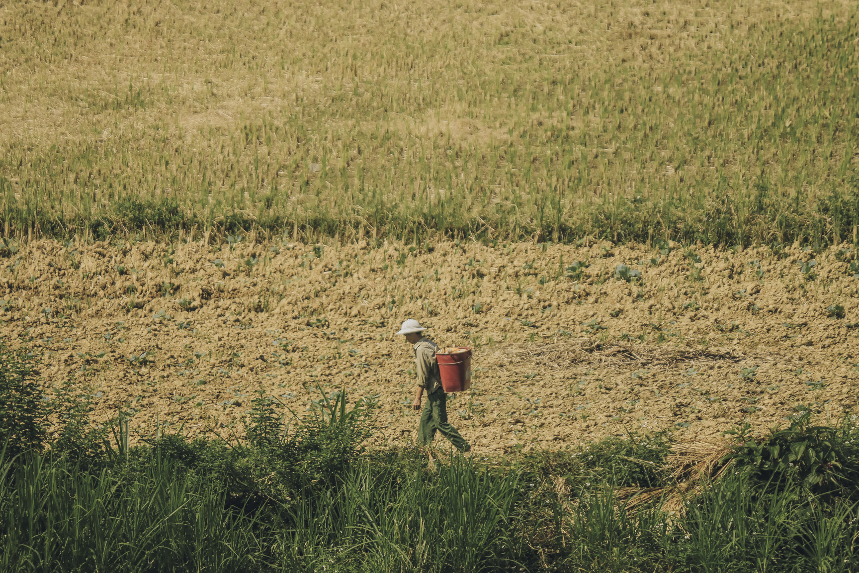Di qua thuong nho mua vang Ha Giang hinh anh 25