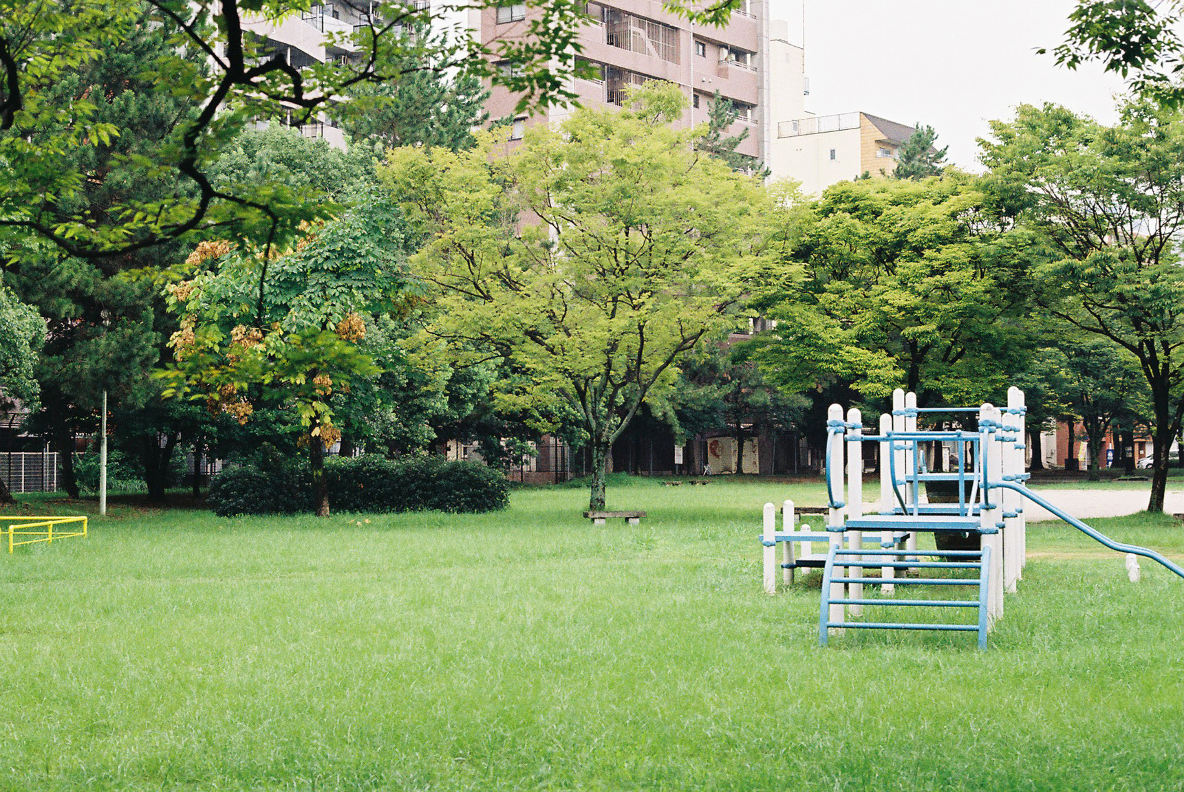 Nhat Ban dep mo mang thoi khac chuyen mua sang thu hinh anh 25