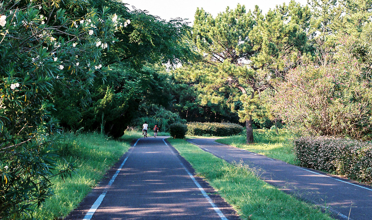 Nhat Ban dep mo mang thoi khac chuyen mua sang thu hinh anh 4