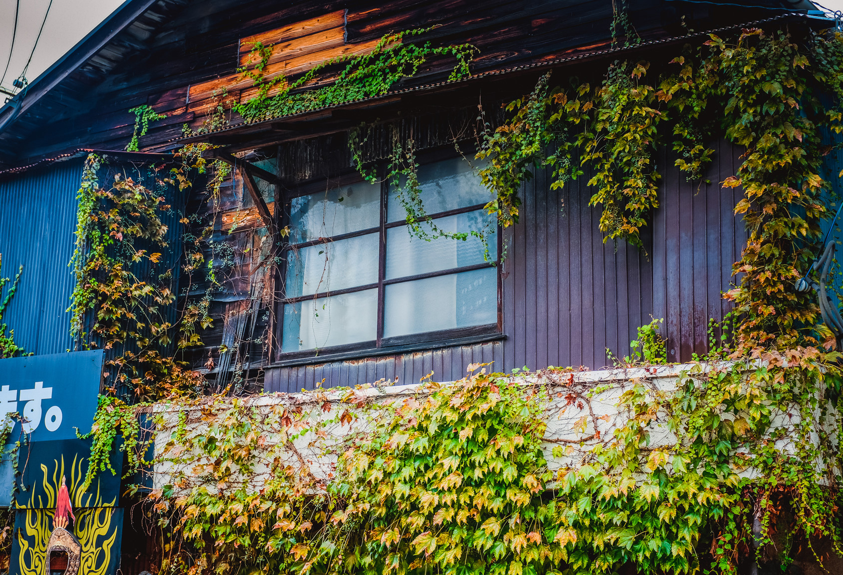 Nhat Ban dep mo mang thoi khac chuyen mua sang thu hinh anh 7