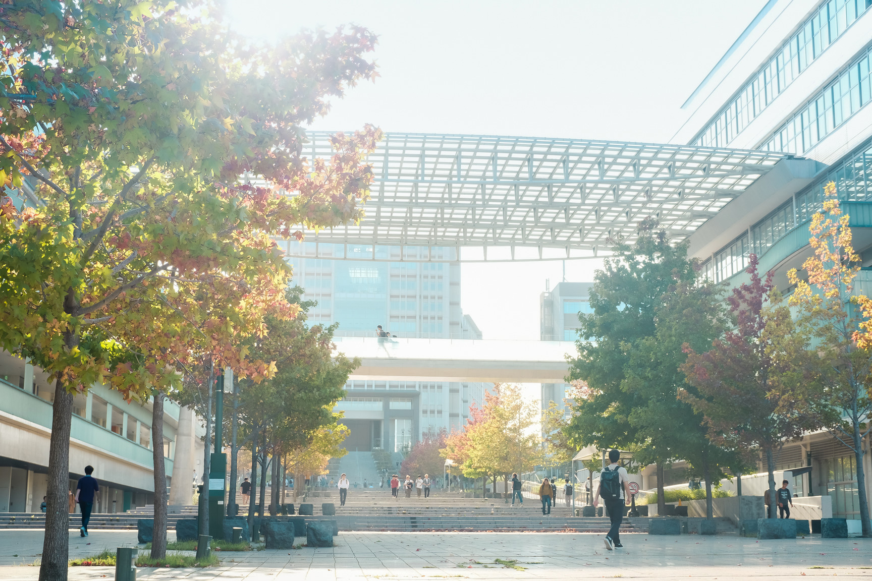 Nhat Ban dep mo mang thoi khac chuyen mua sang thu hinh anh 17