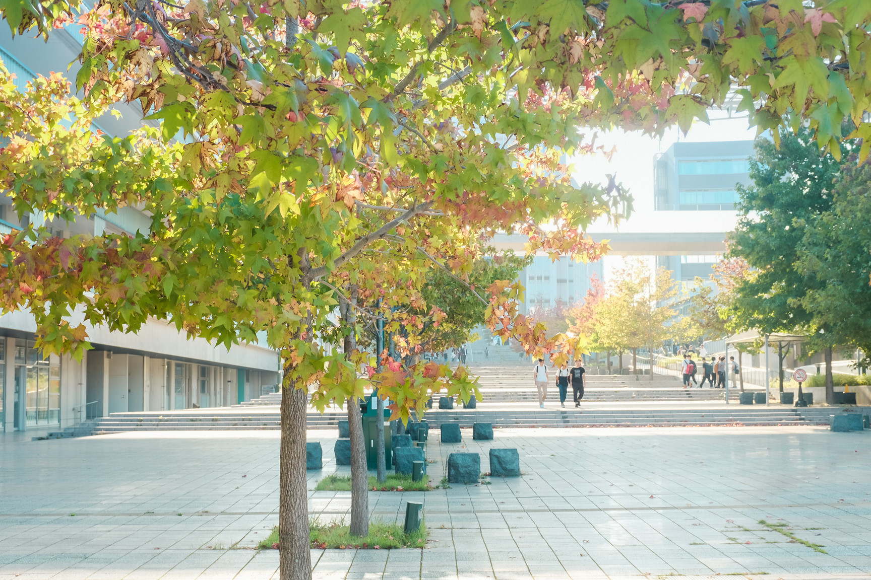 Nhat Ban dep mo mang thoi khac chuyen mua sang thu hinh anh 18