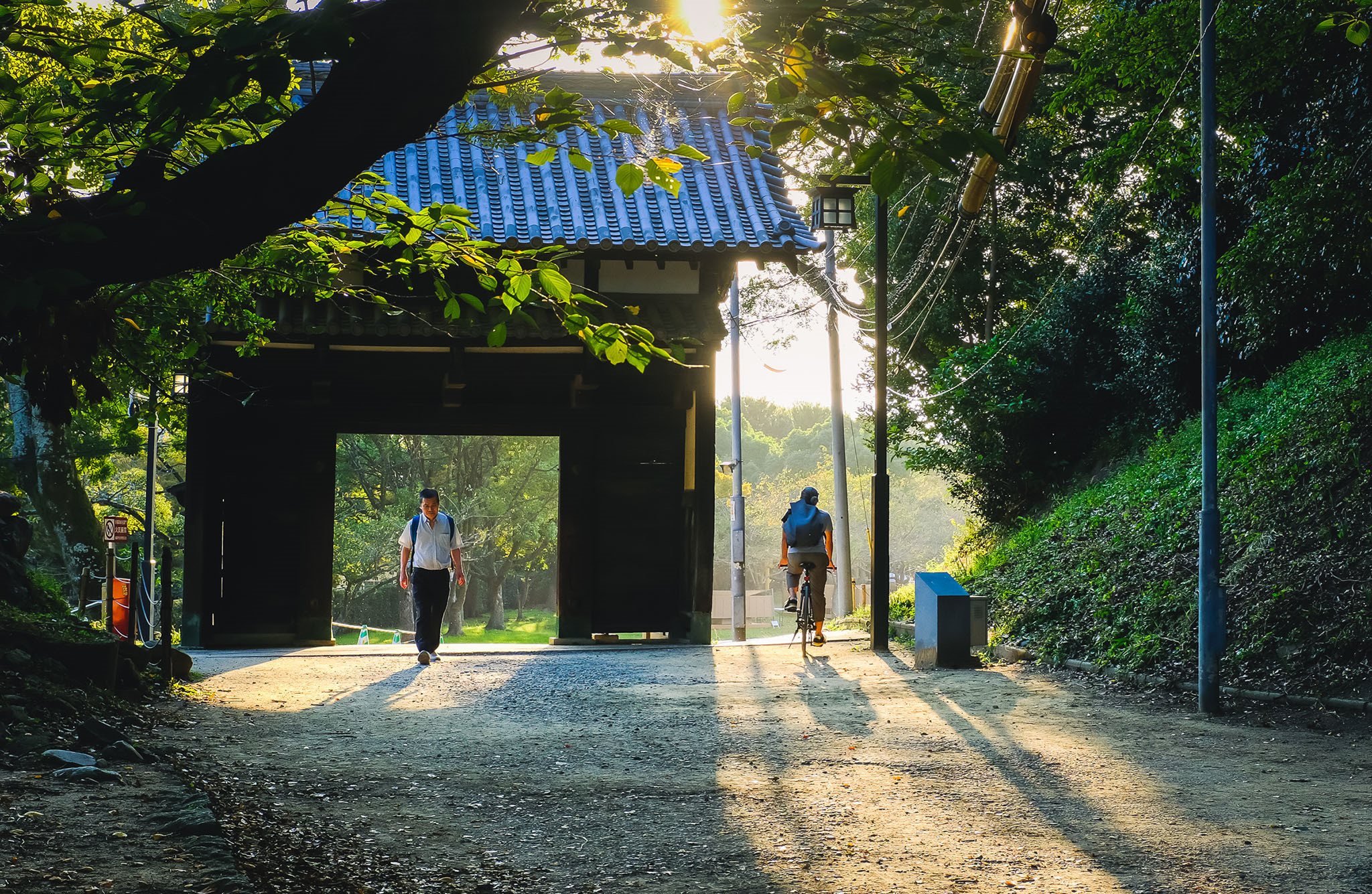 Nhat Ban dep mo mang thoi khac chuyen mua sang thu hinh anh 27