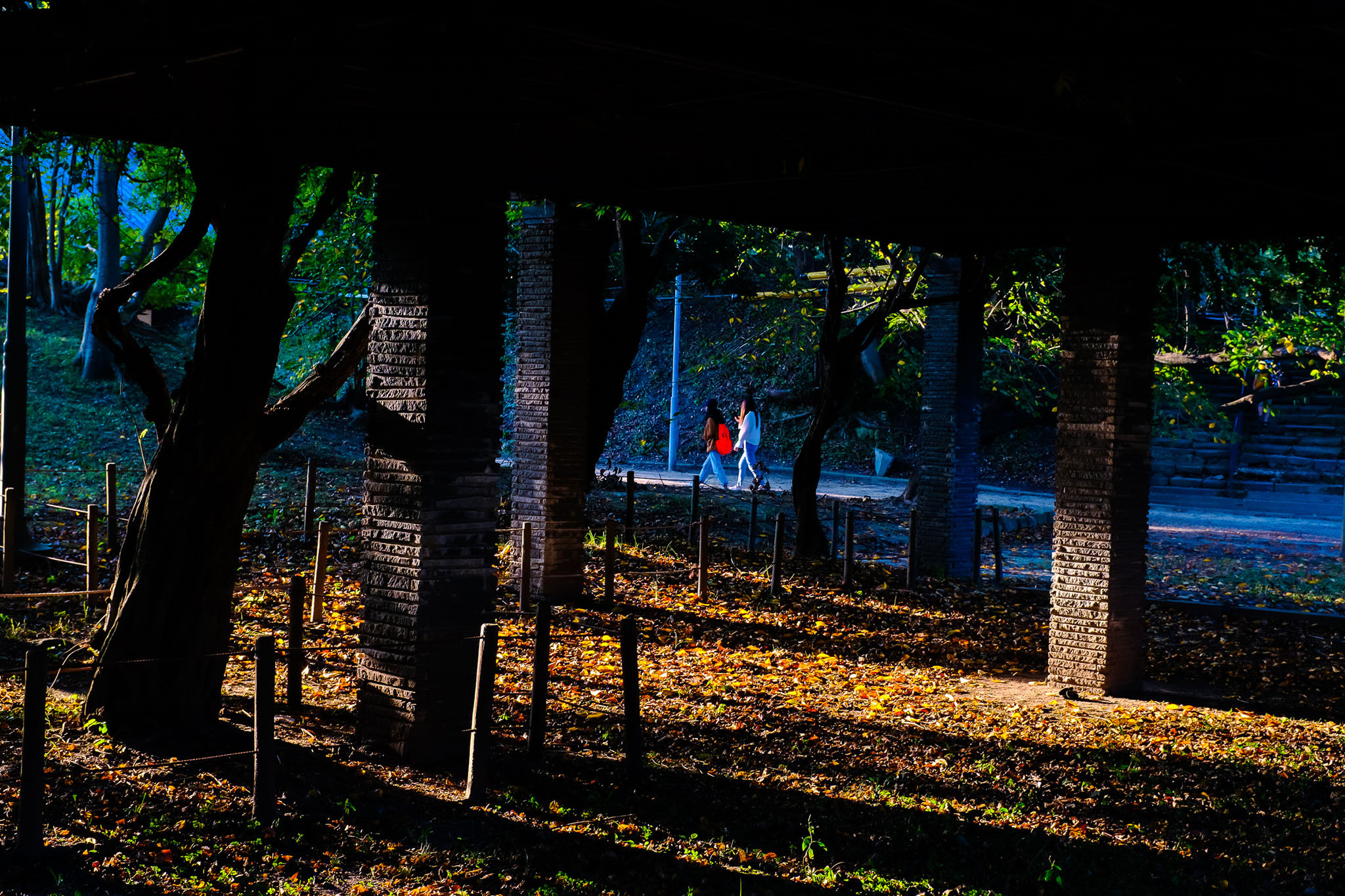 Nhat Ban dep mo mang thoi khac chuyen mua sang thu hinh anh 28