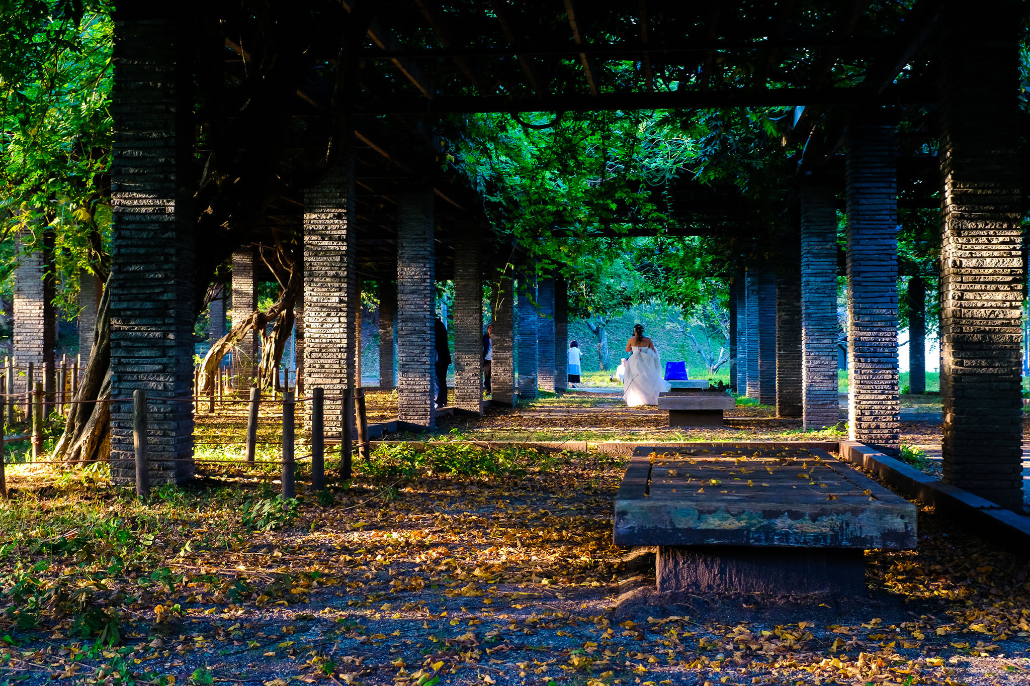 Nhat Ban dep mo mang thoi khac chuyen mua sang thu hinh anh 29