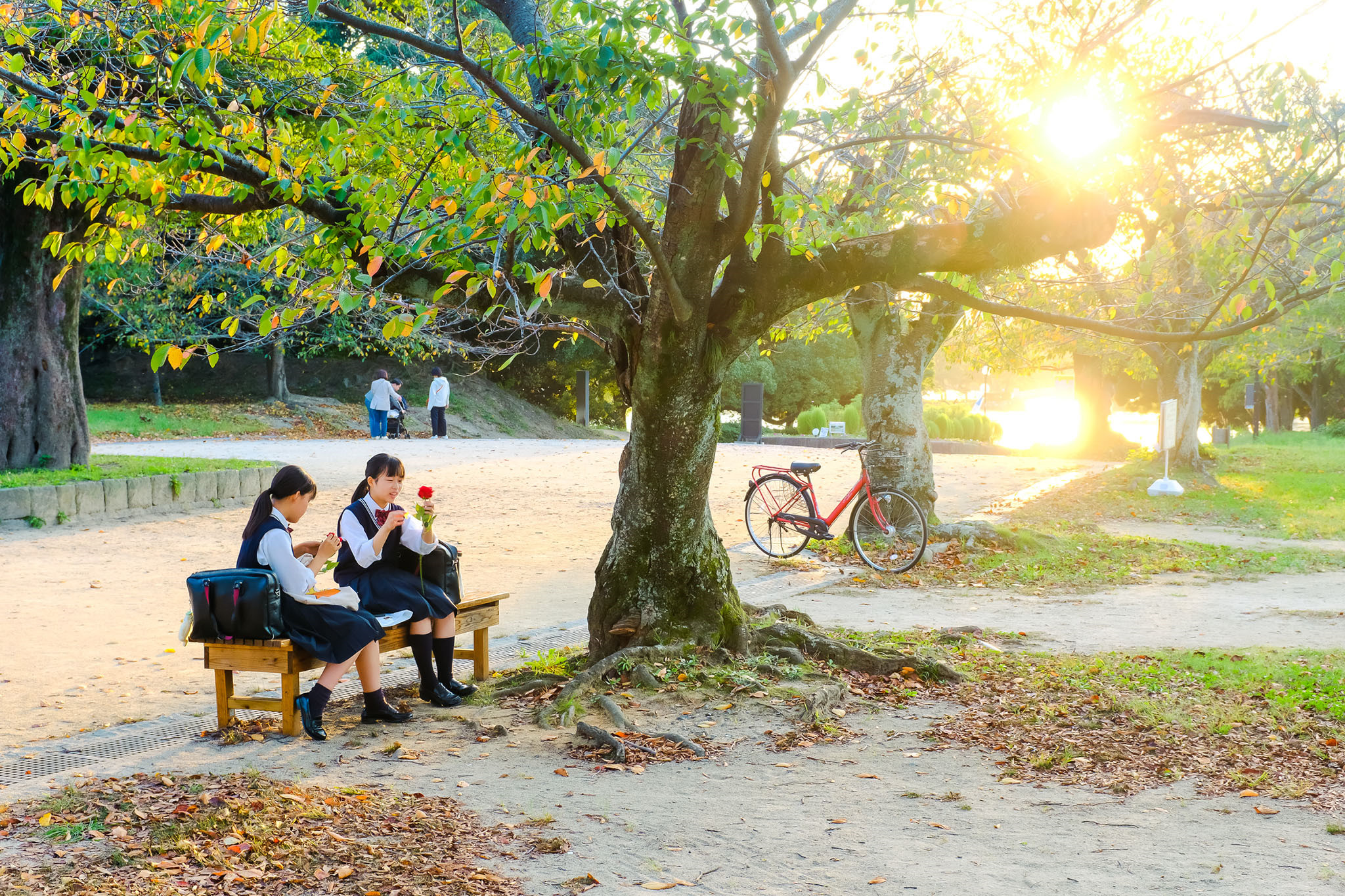 Nhật Bản đẹp mơ màng thời khắc chuyển mùa sang thu